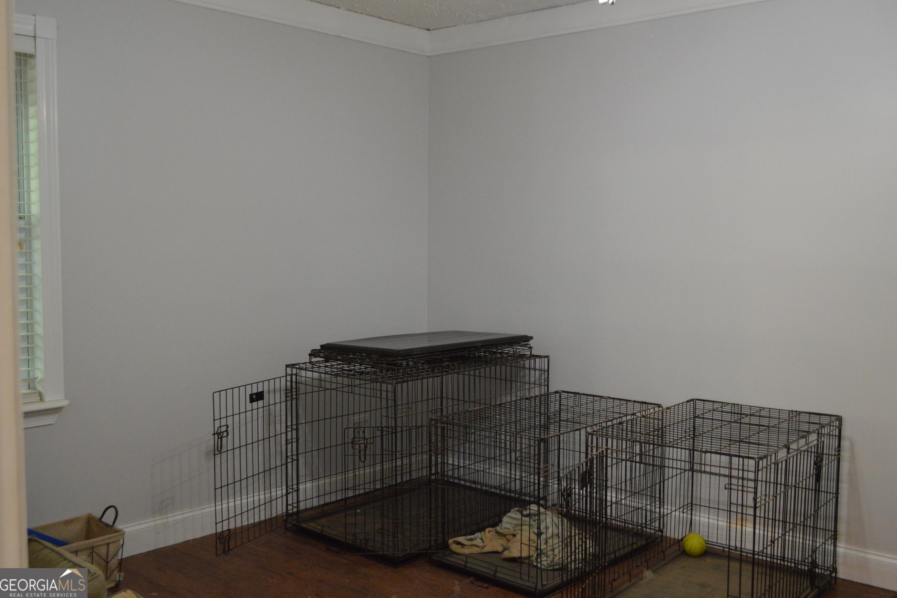 Photo #32