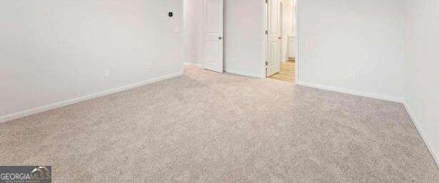 Photo #12