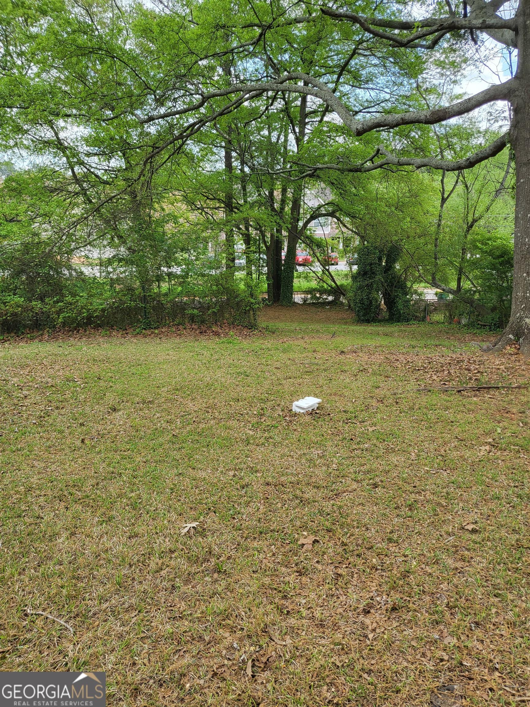 Photo #48