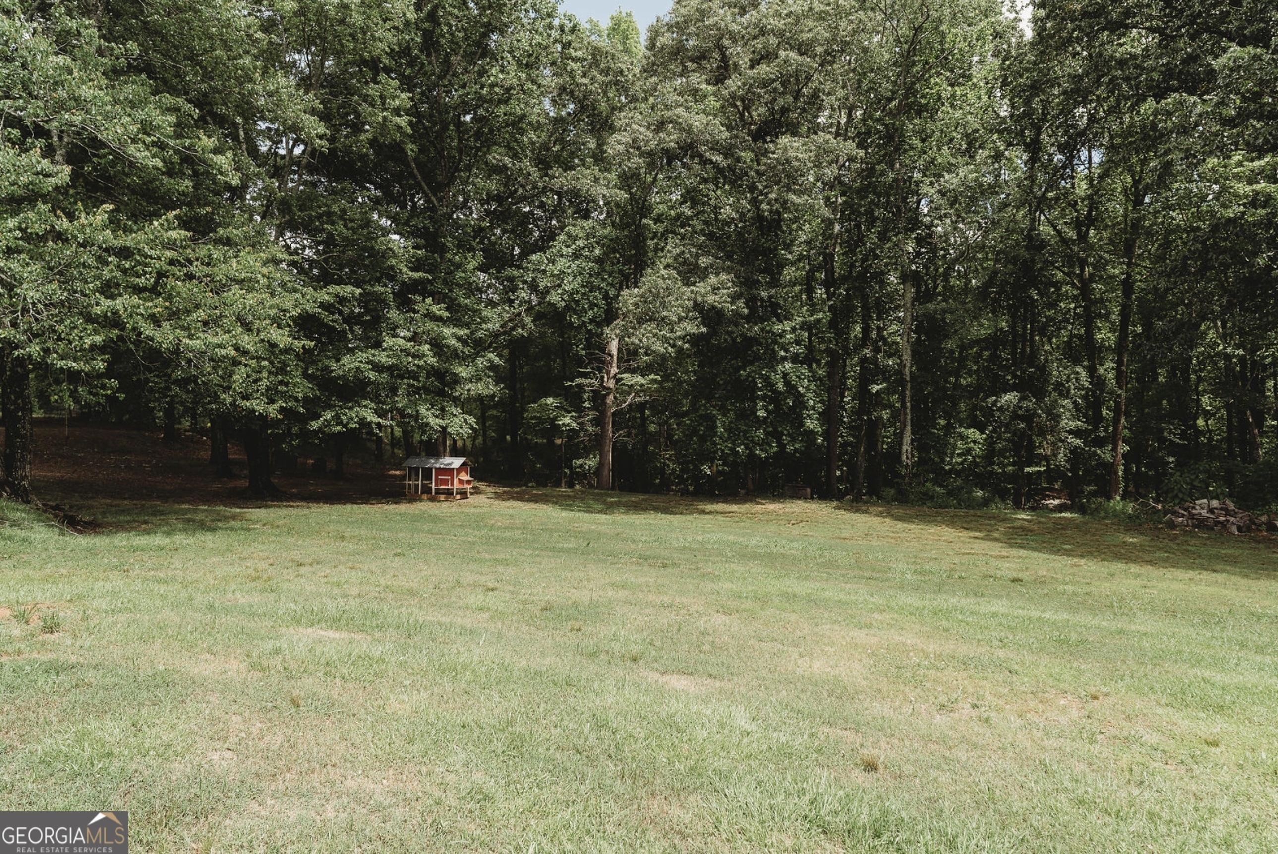 Photo #28