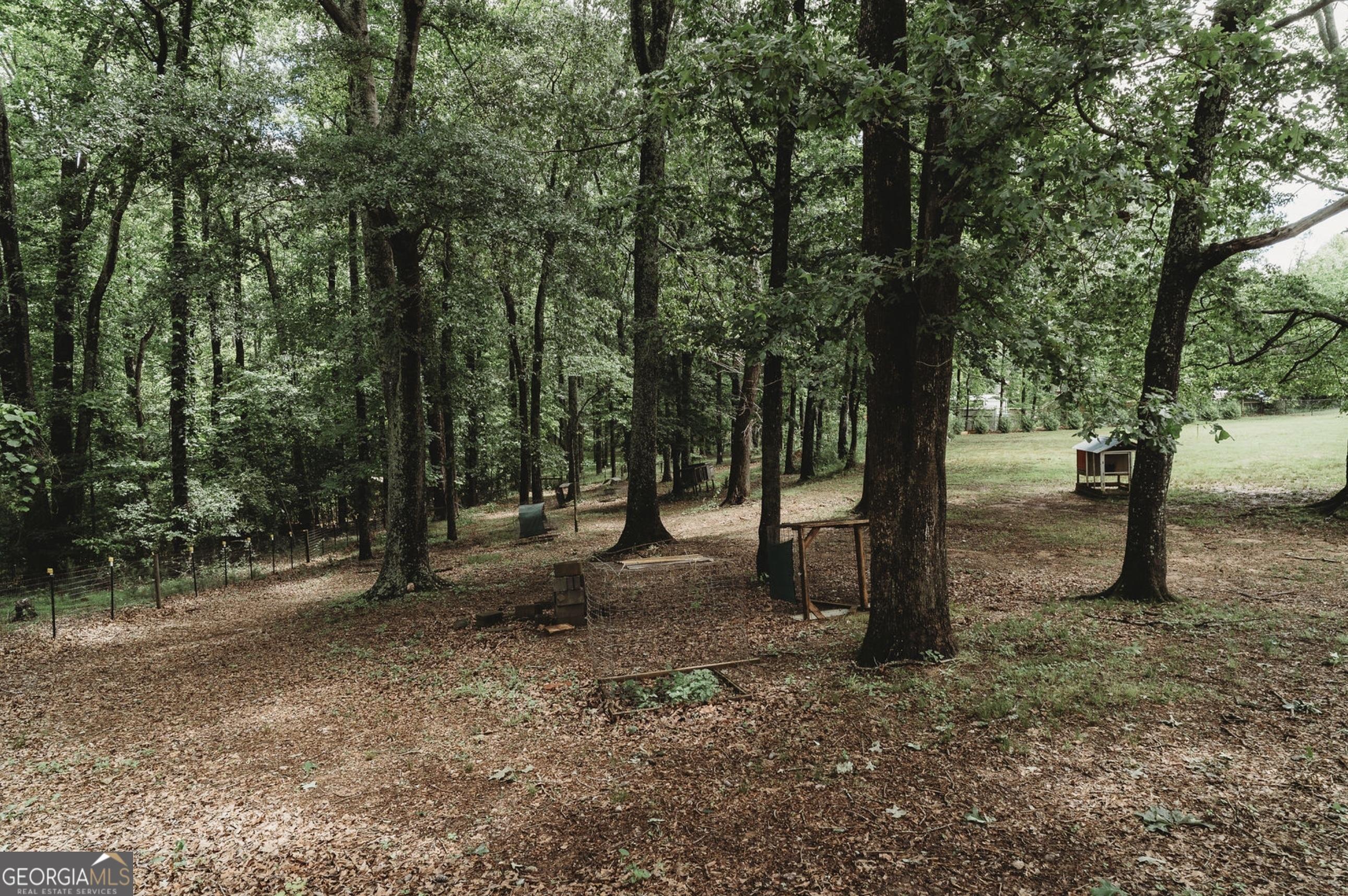 Photo #25