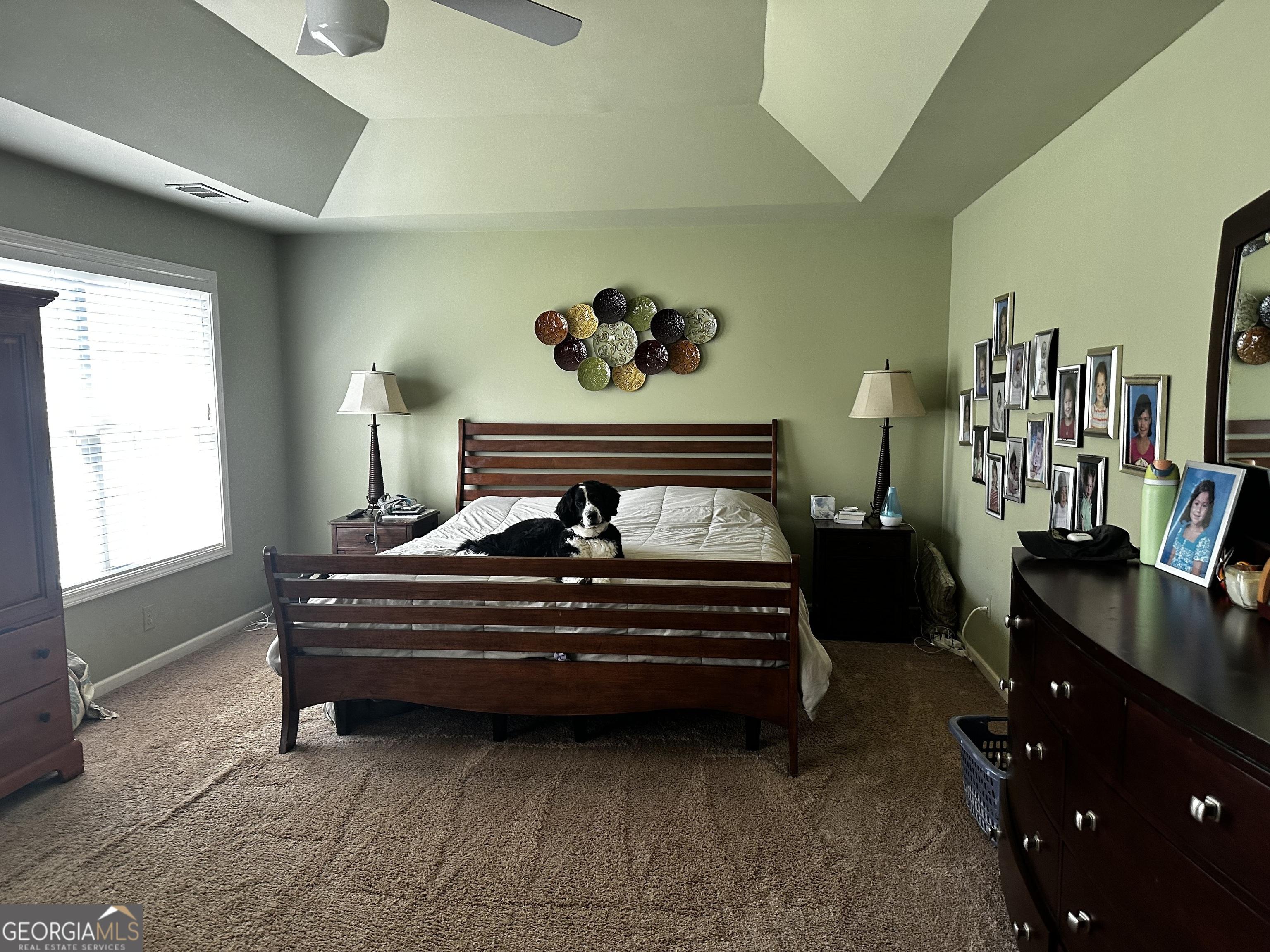 Photo #12