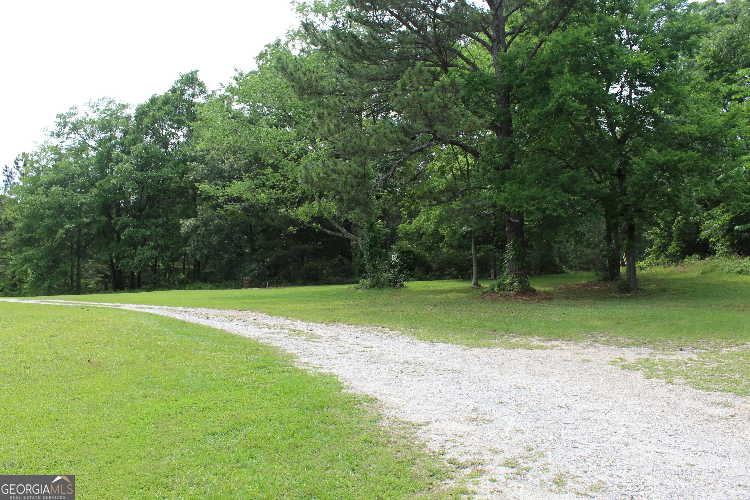 Photo #42
