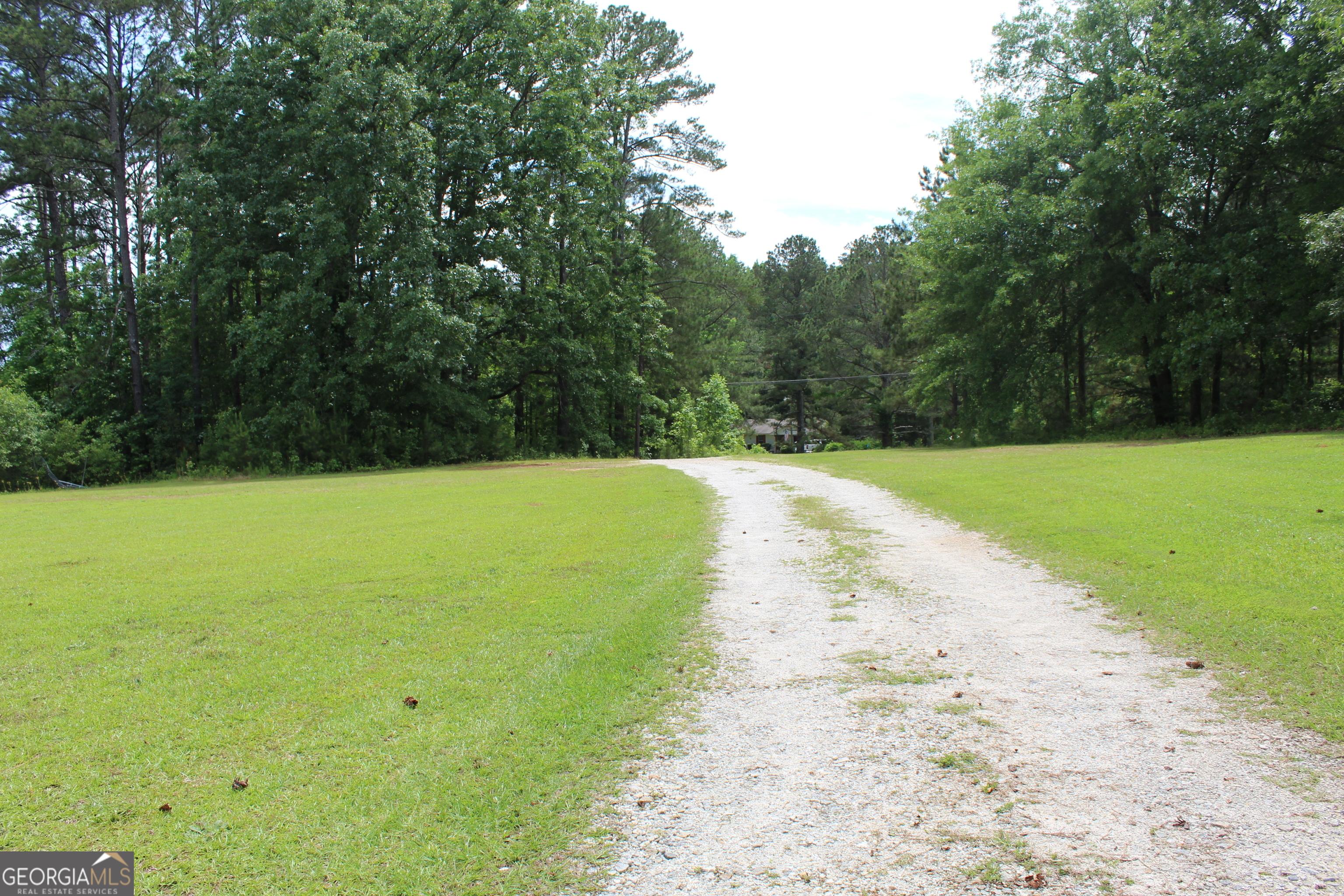 Photo #41