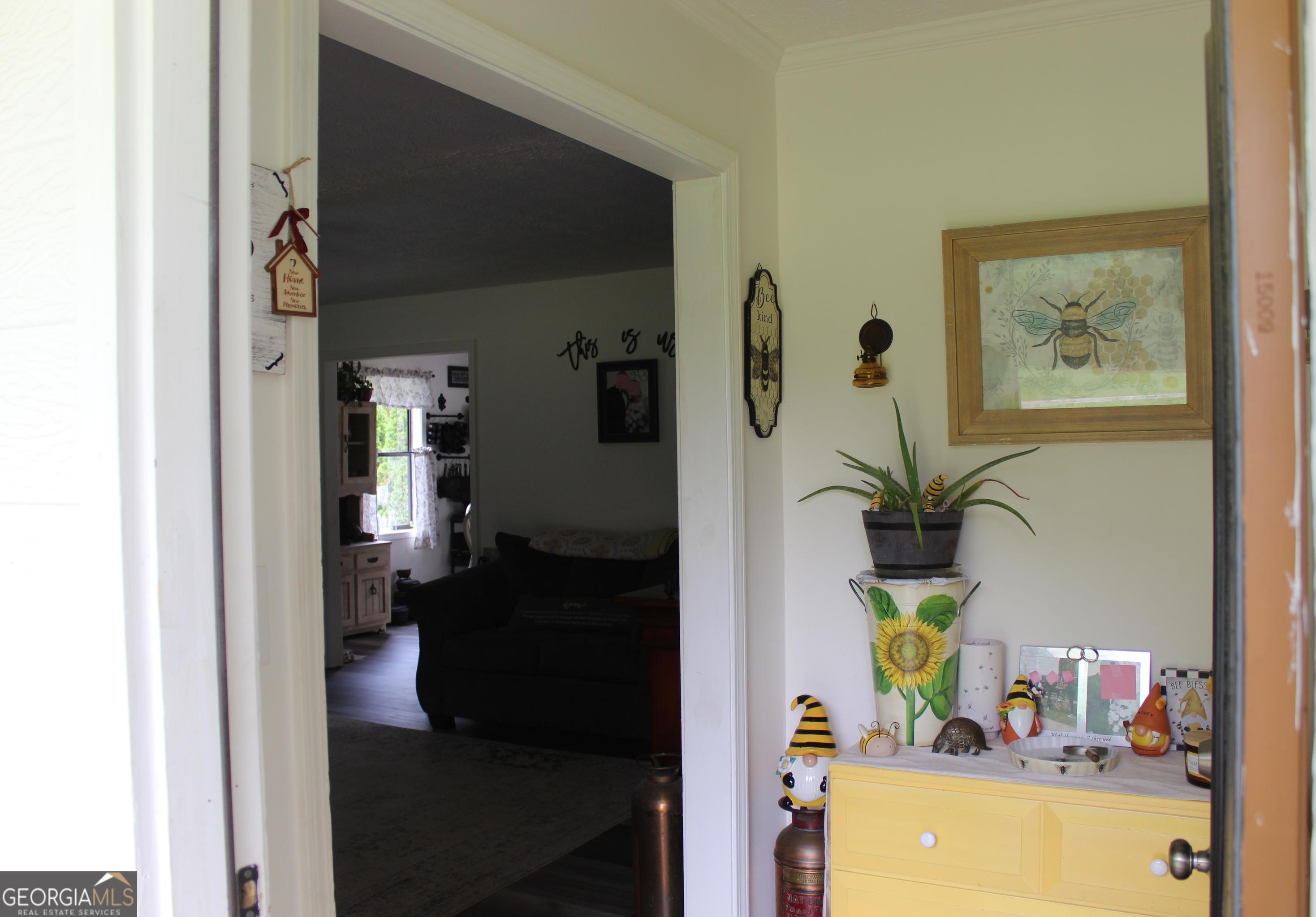Photo #19