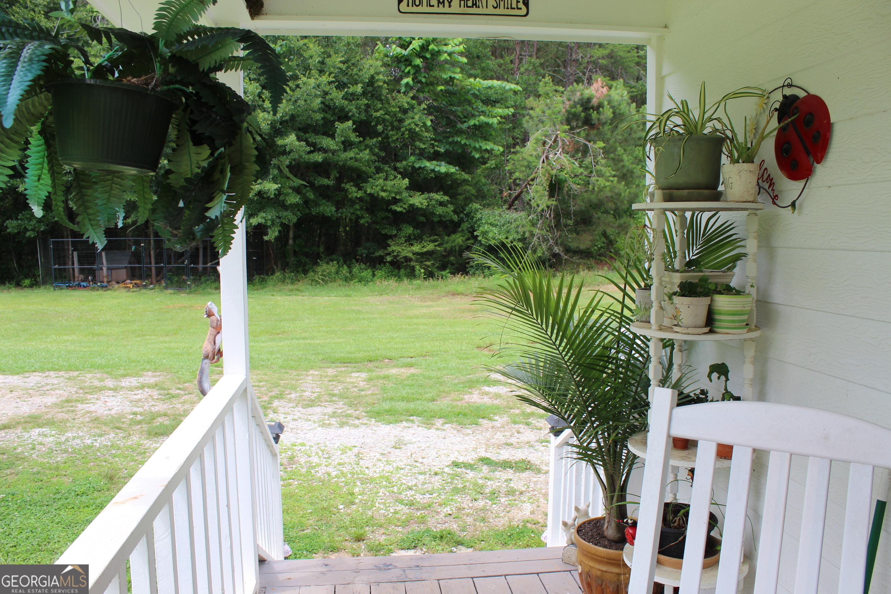 Photo #15