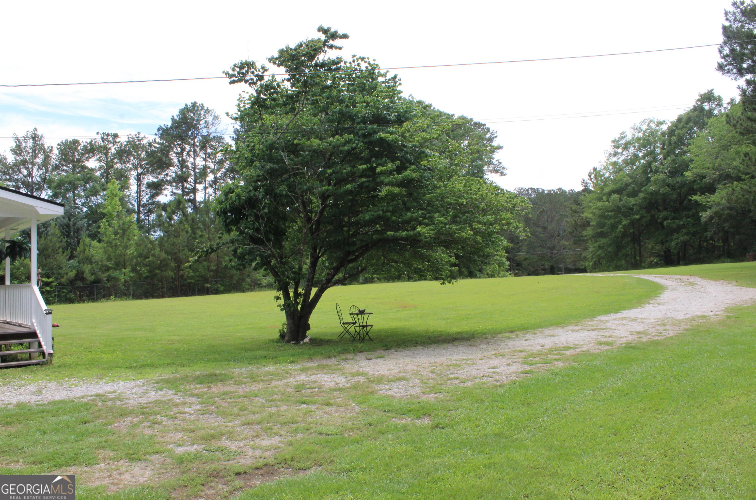 Photo #17
