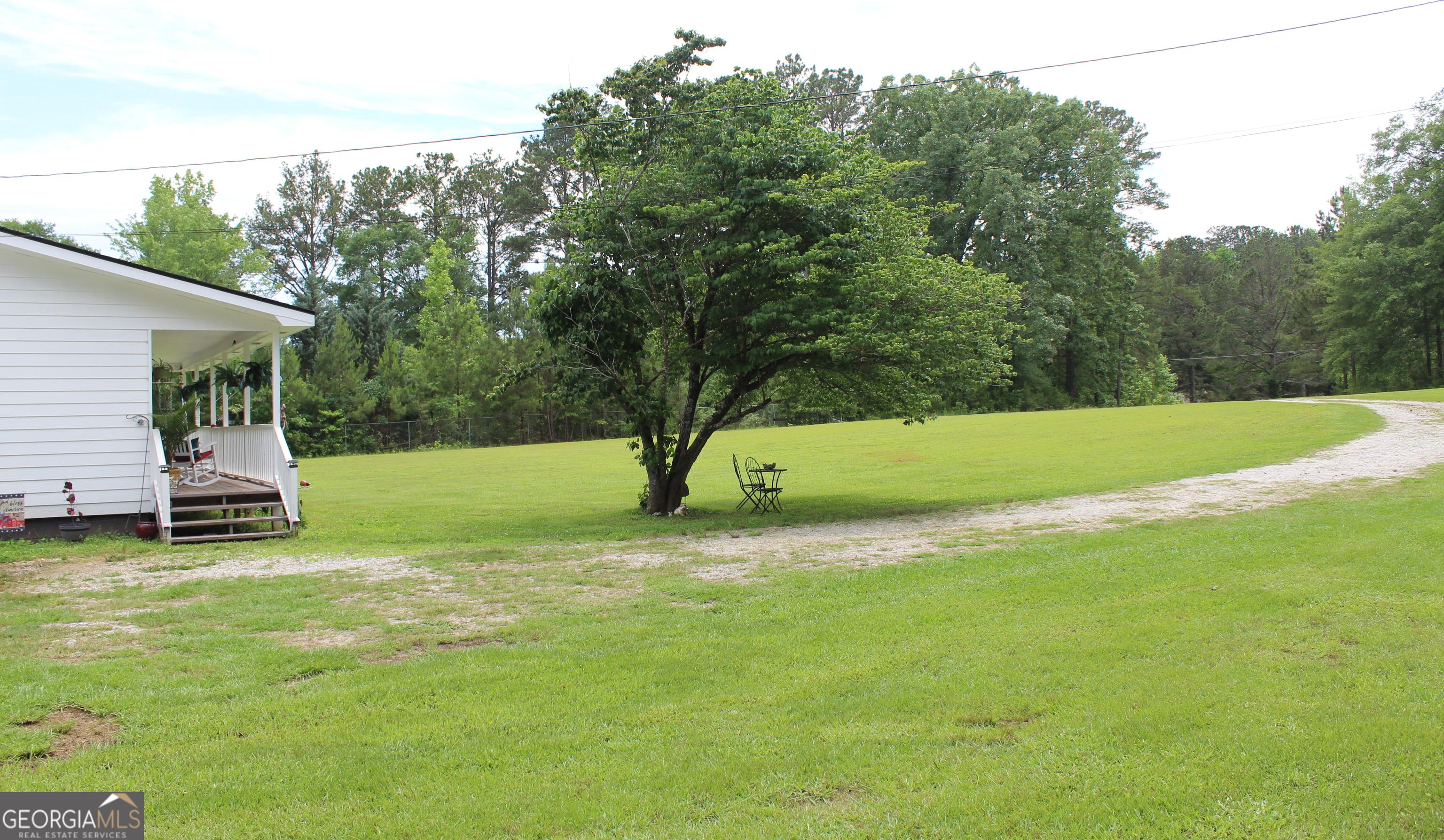 Photo #16