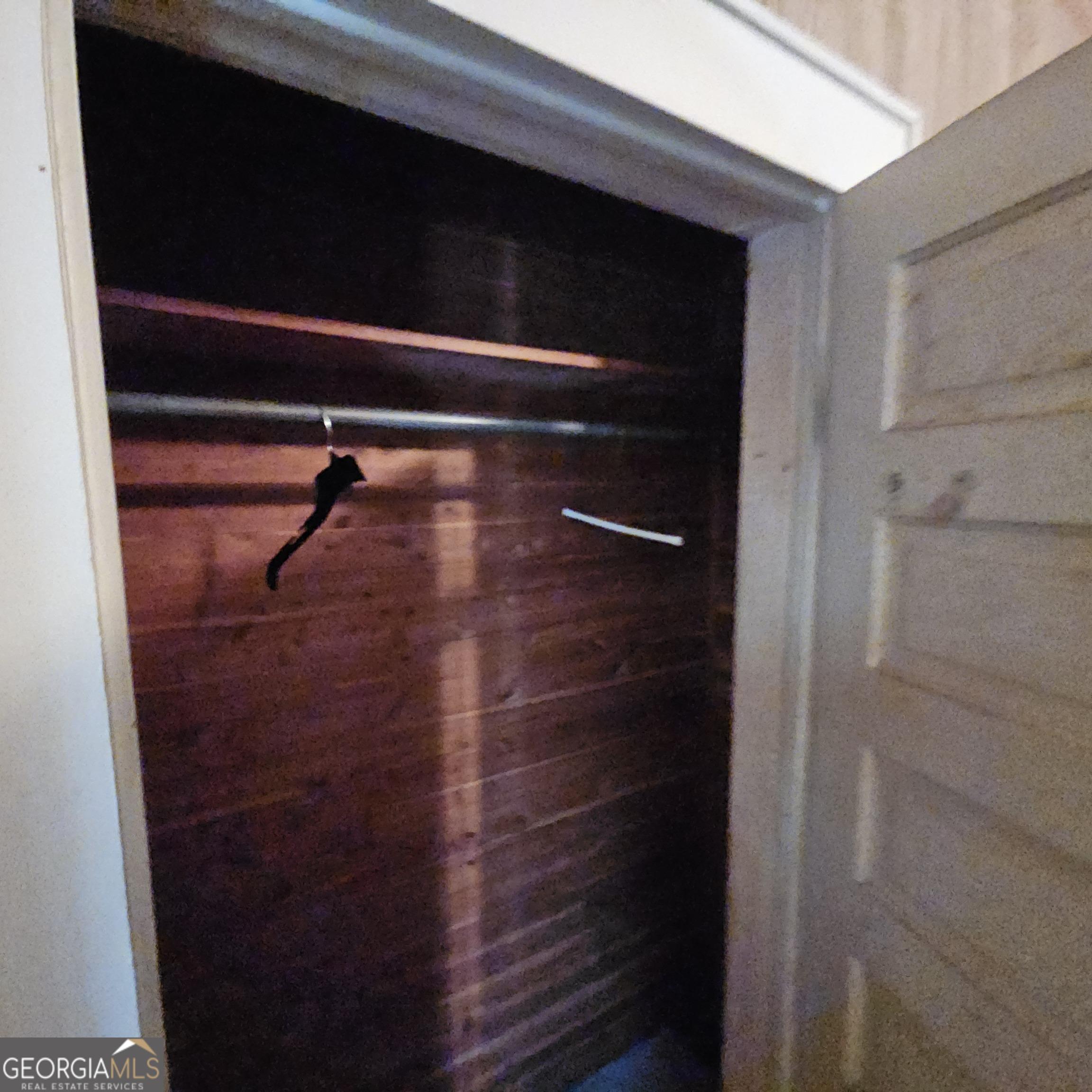 Photo #14