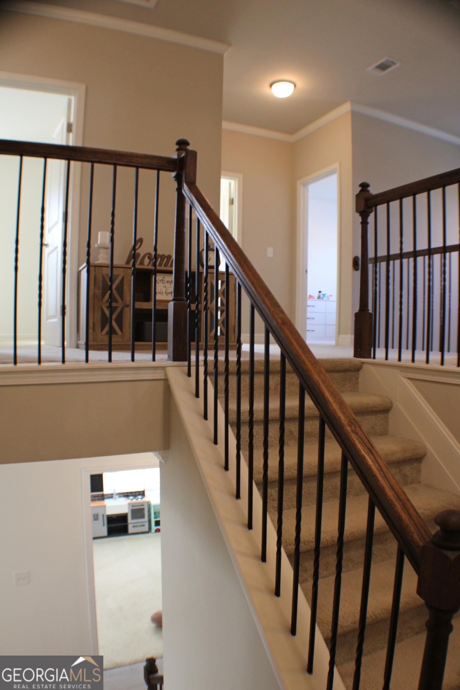 Photo #17
