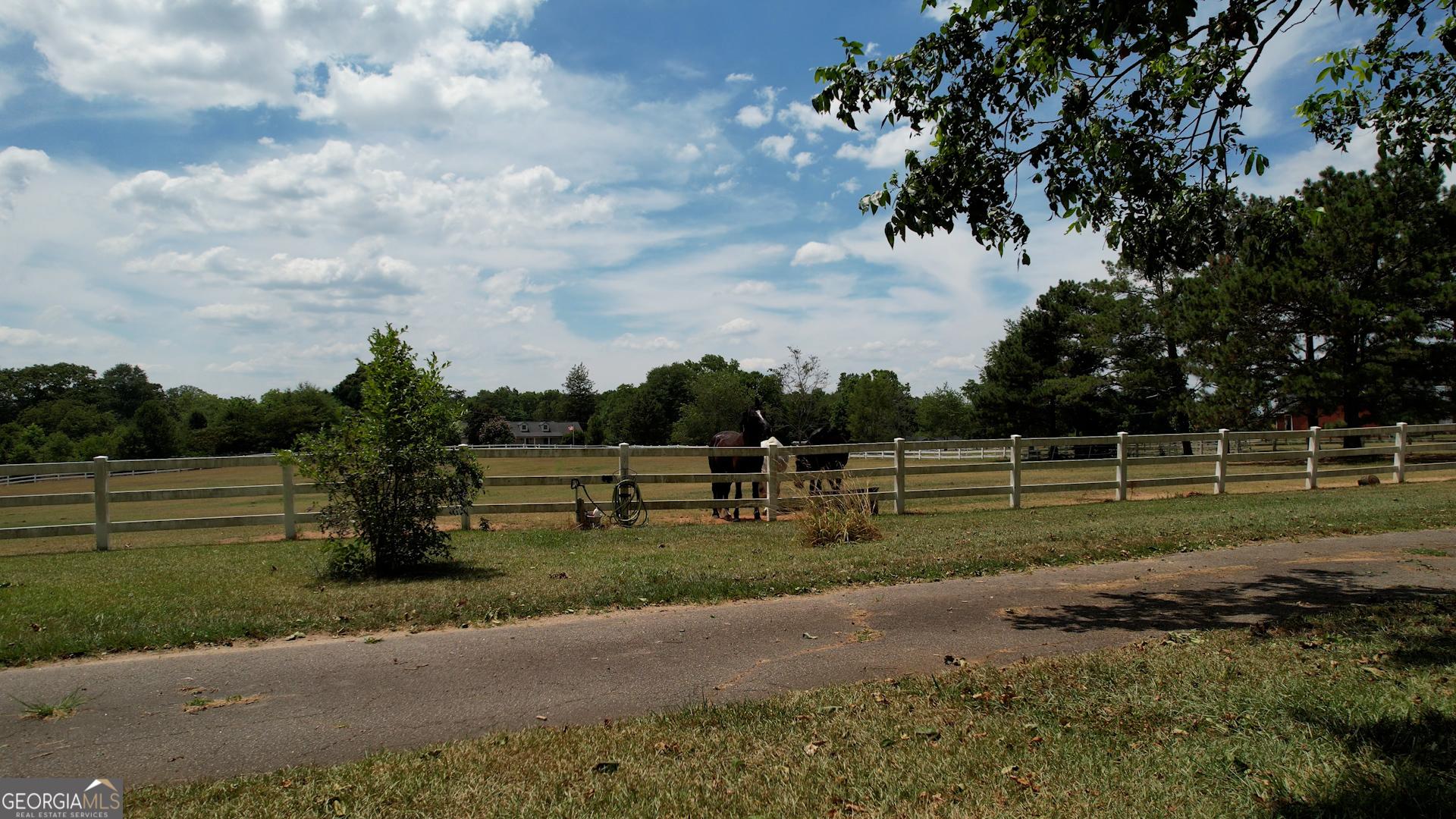 Photo #54