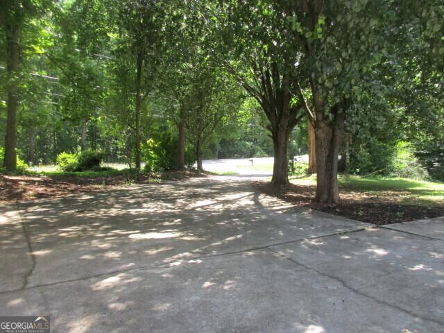 Photo #5