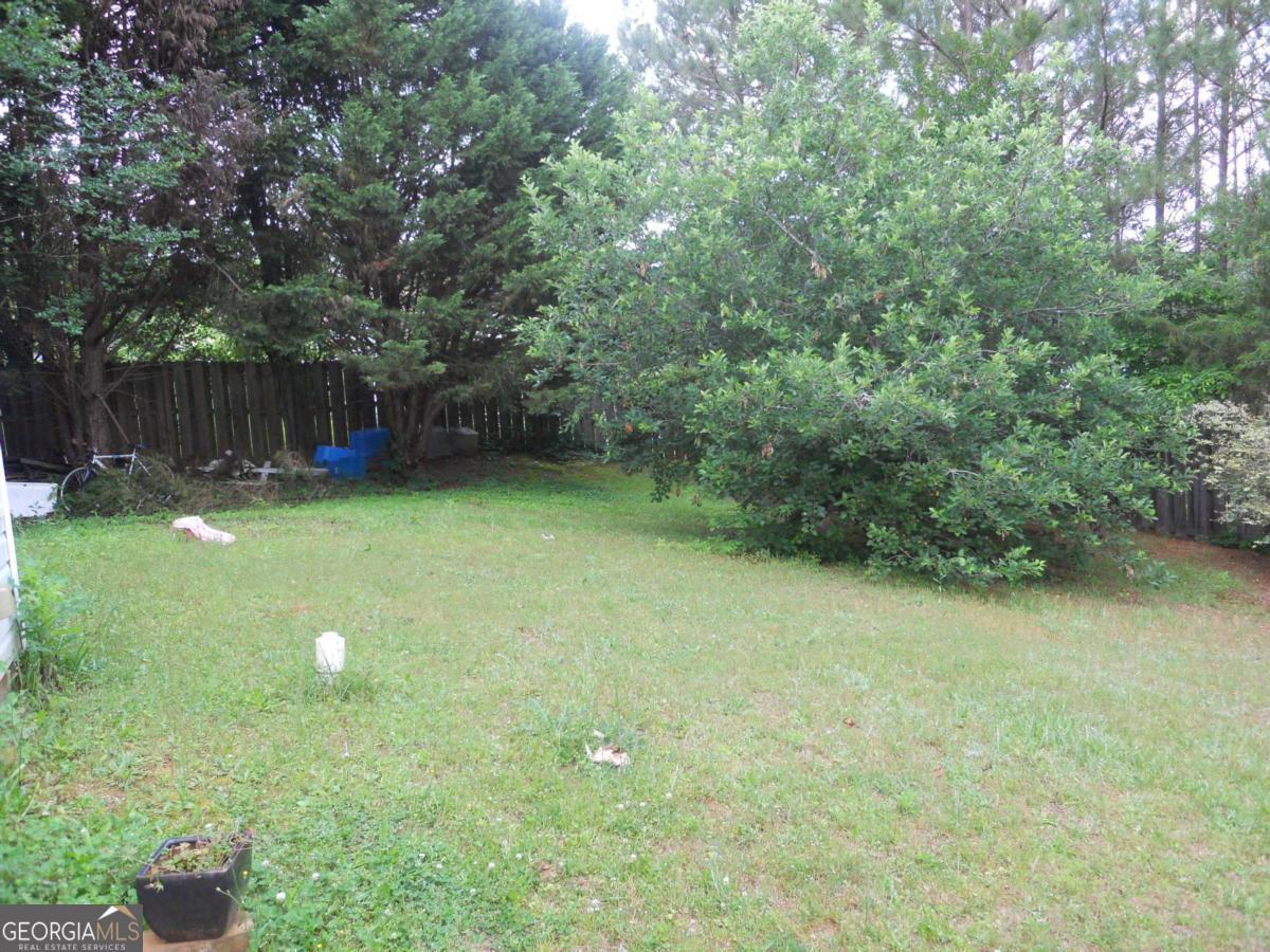 Photo #2