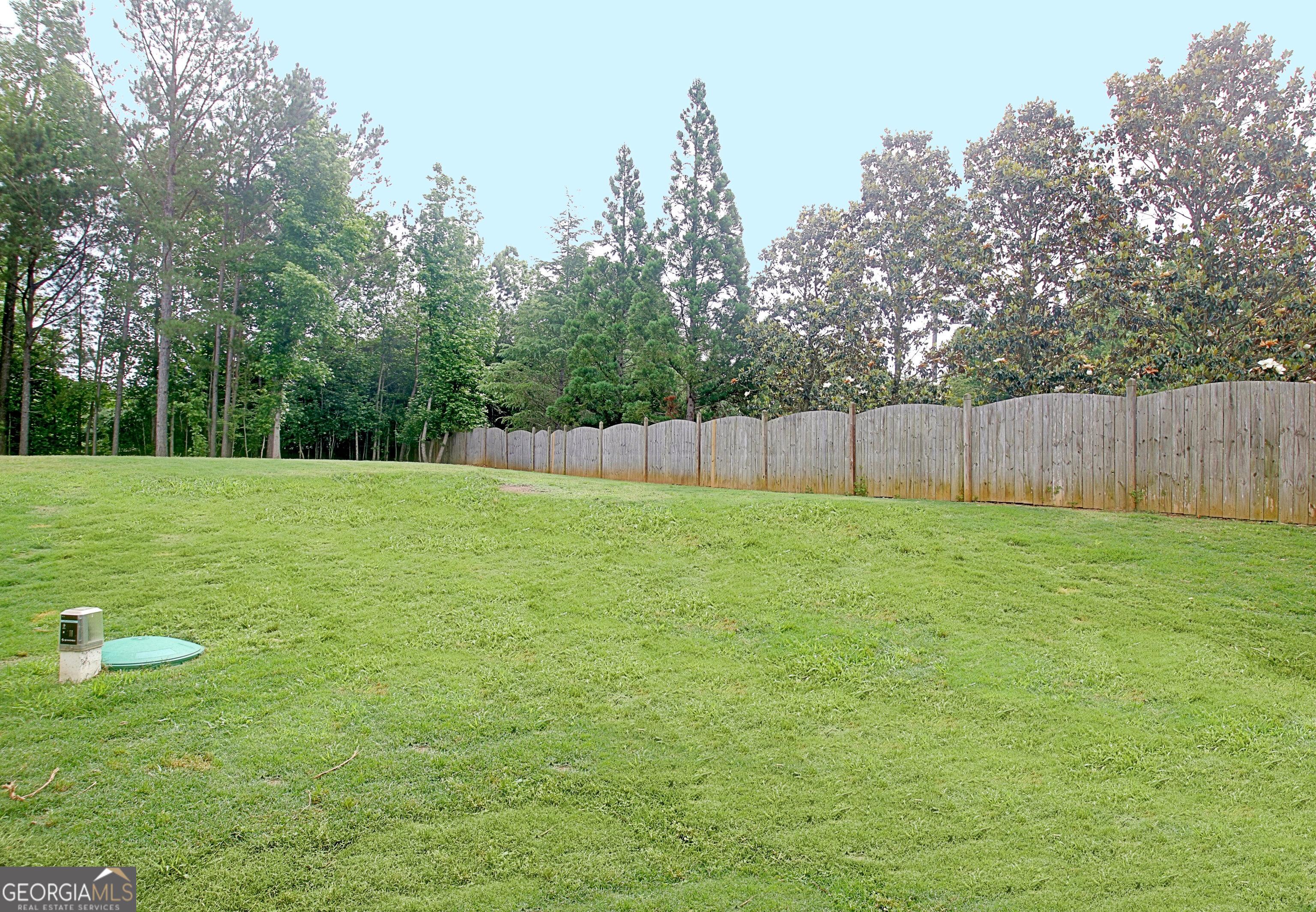Photo #71