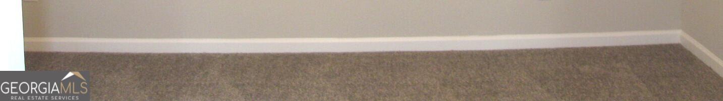 Photo #22