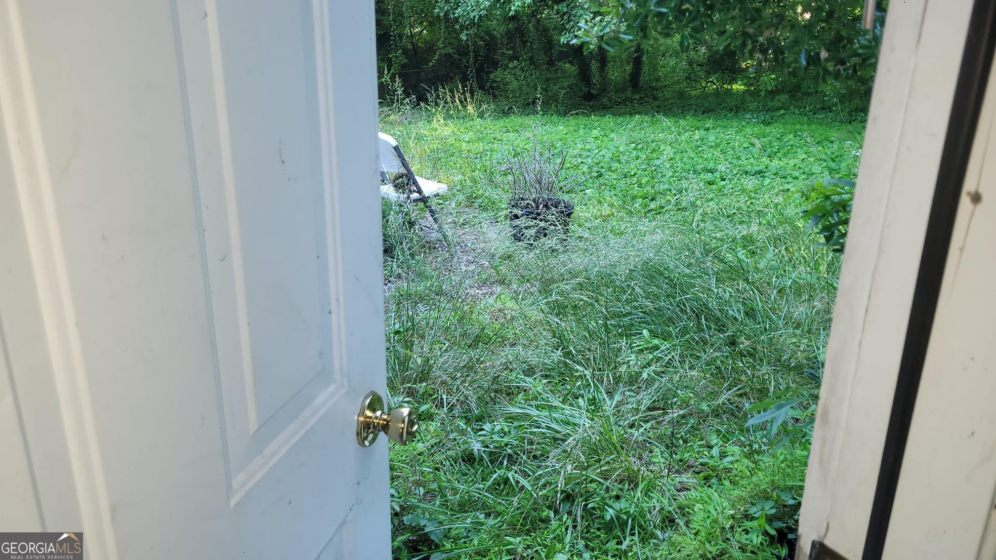 Photo #11
