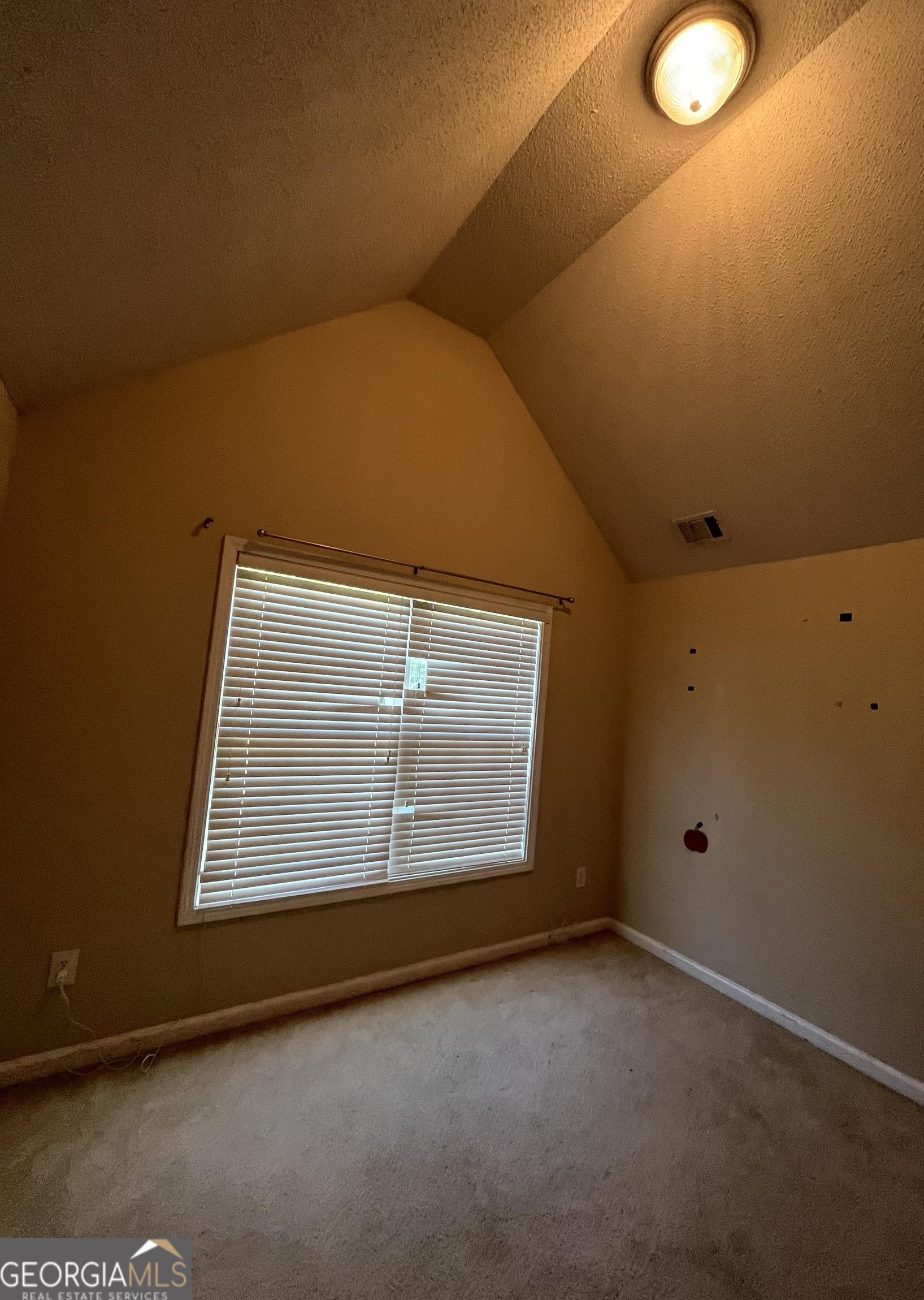 Photo #34