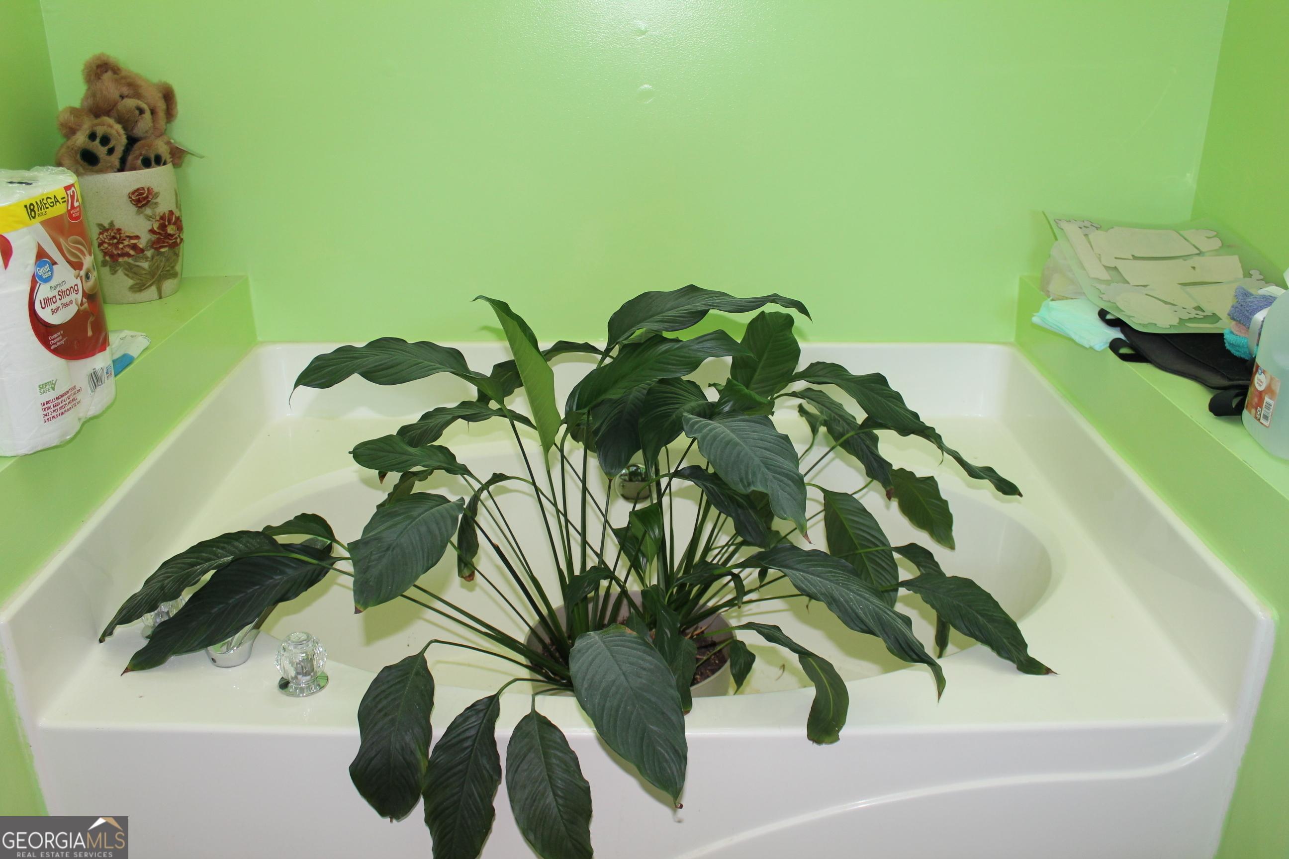 Photo #24