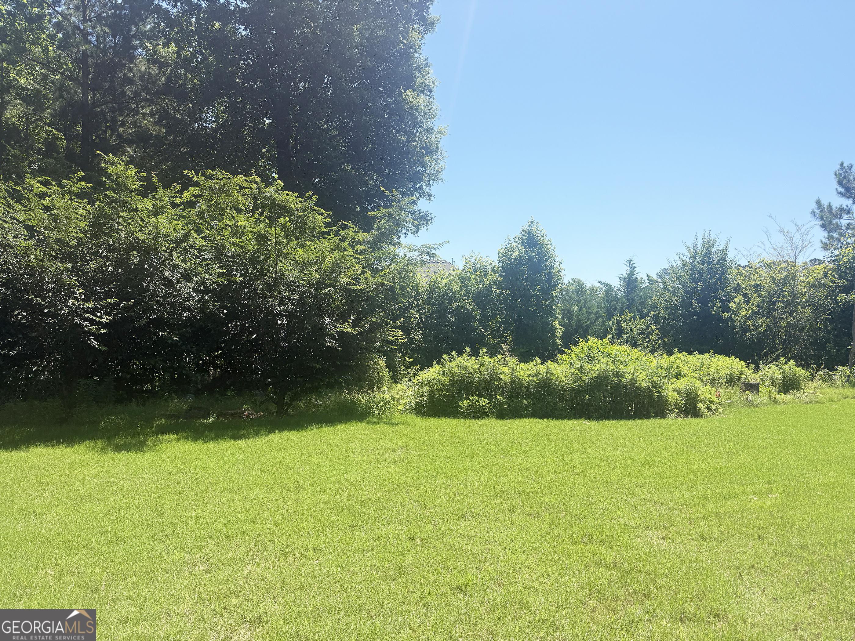 Photo #60