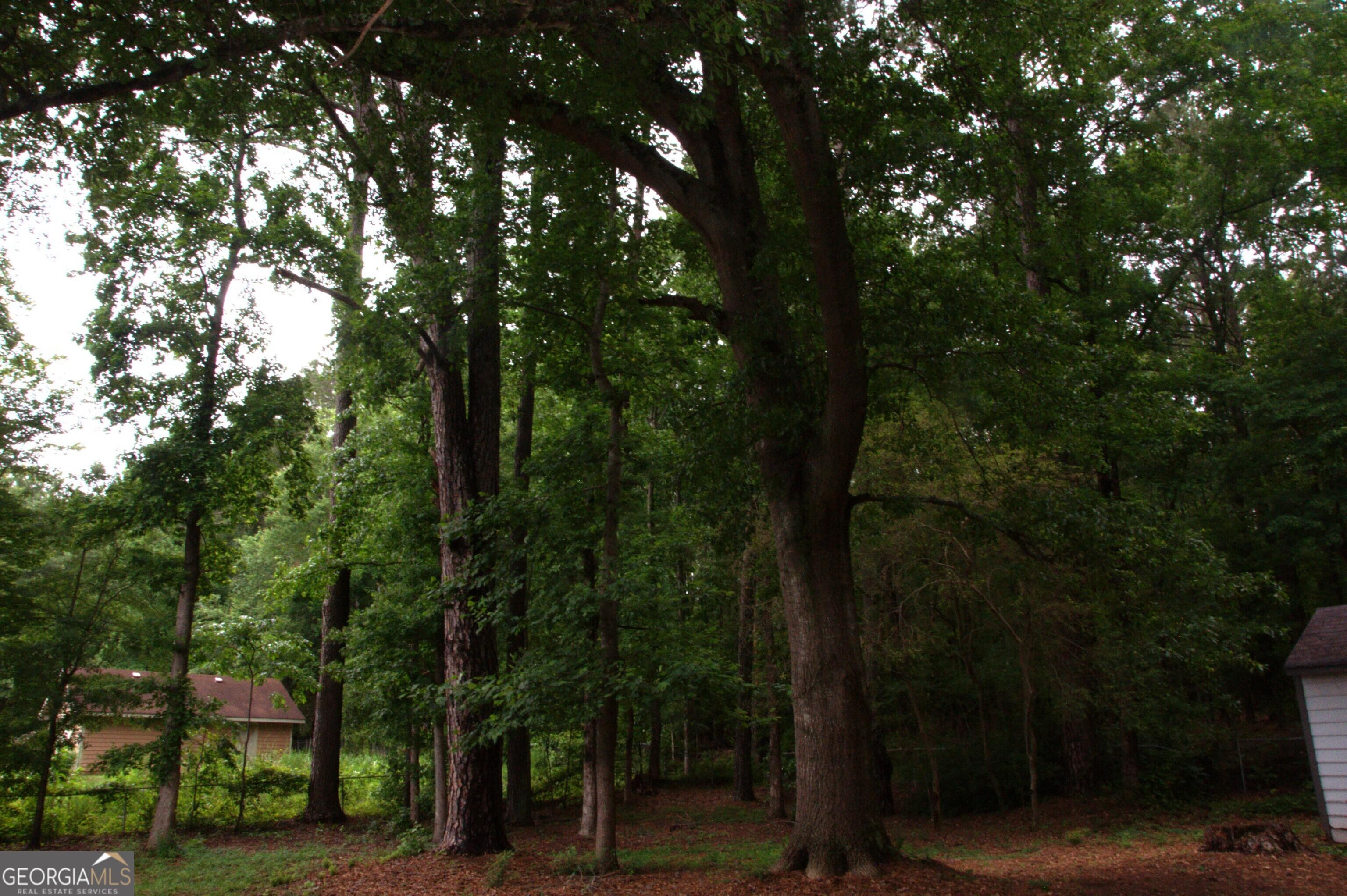 Photo #11