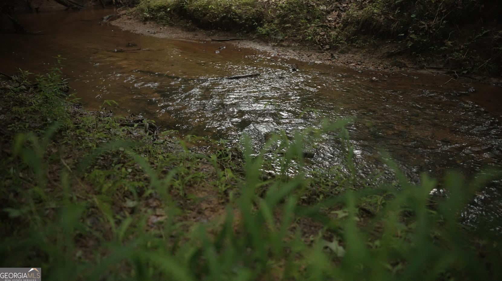 Photo #75