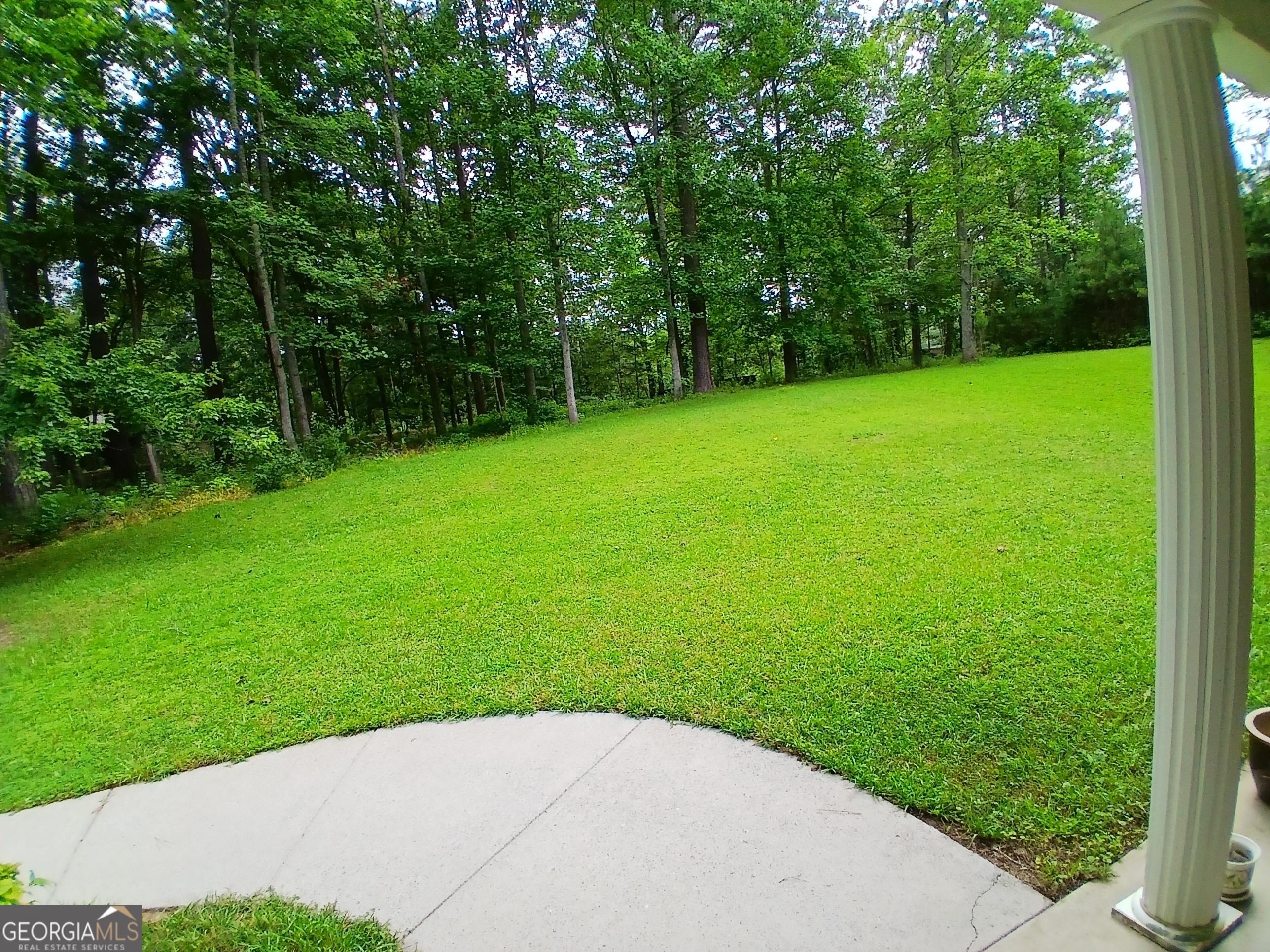 Photo #16