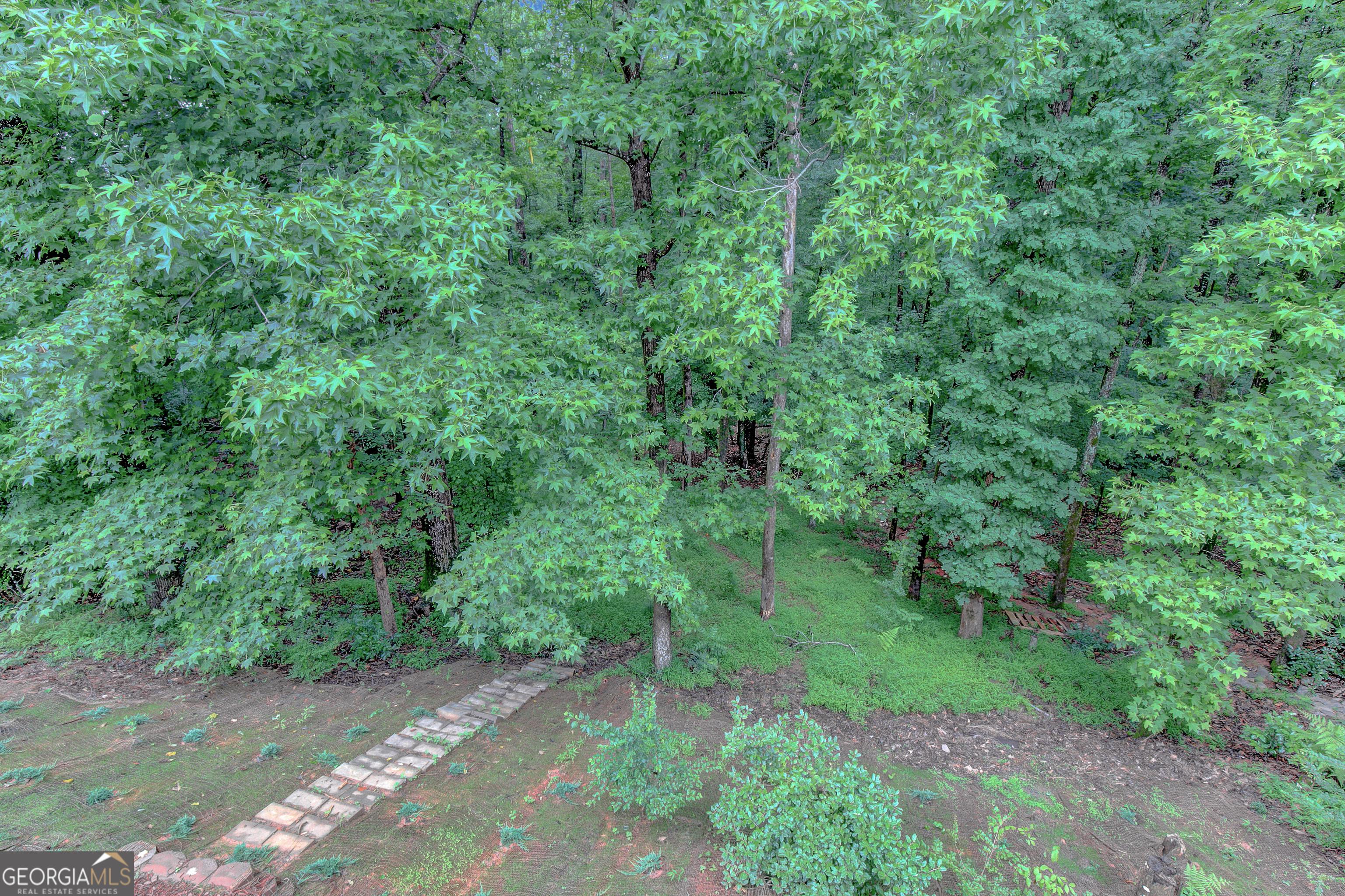 Photo #33