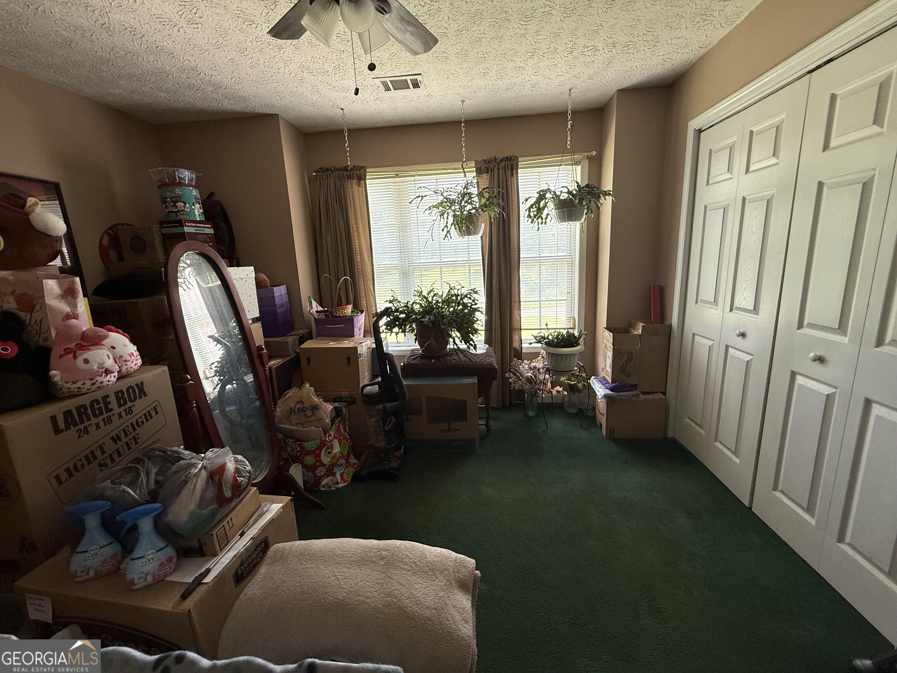 Photo #12