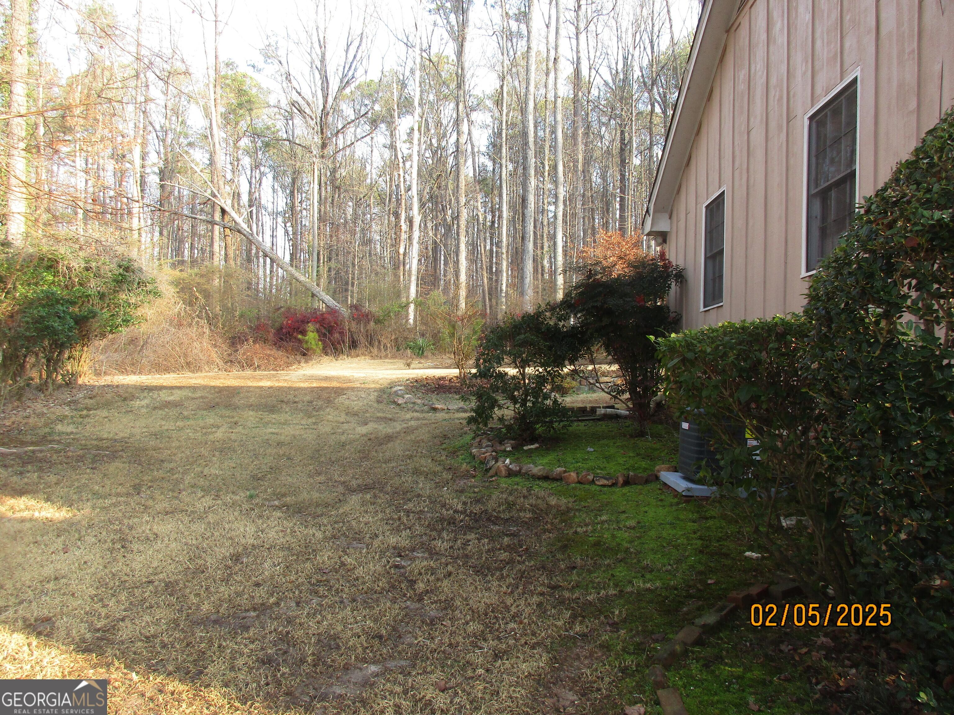Photo #23