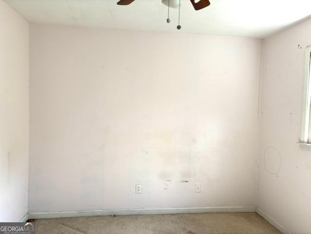 Photo #31