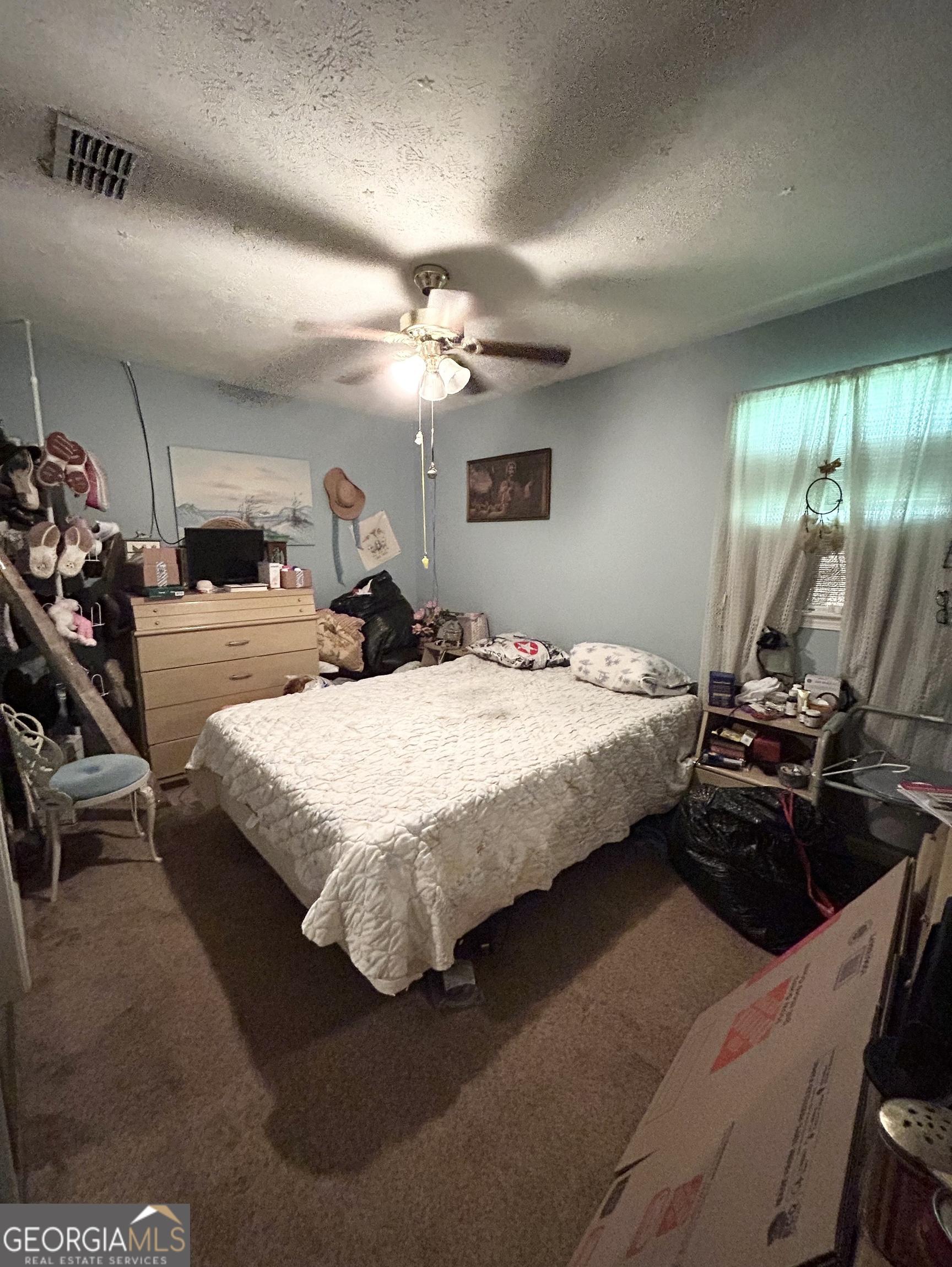Photo #15