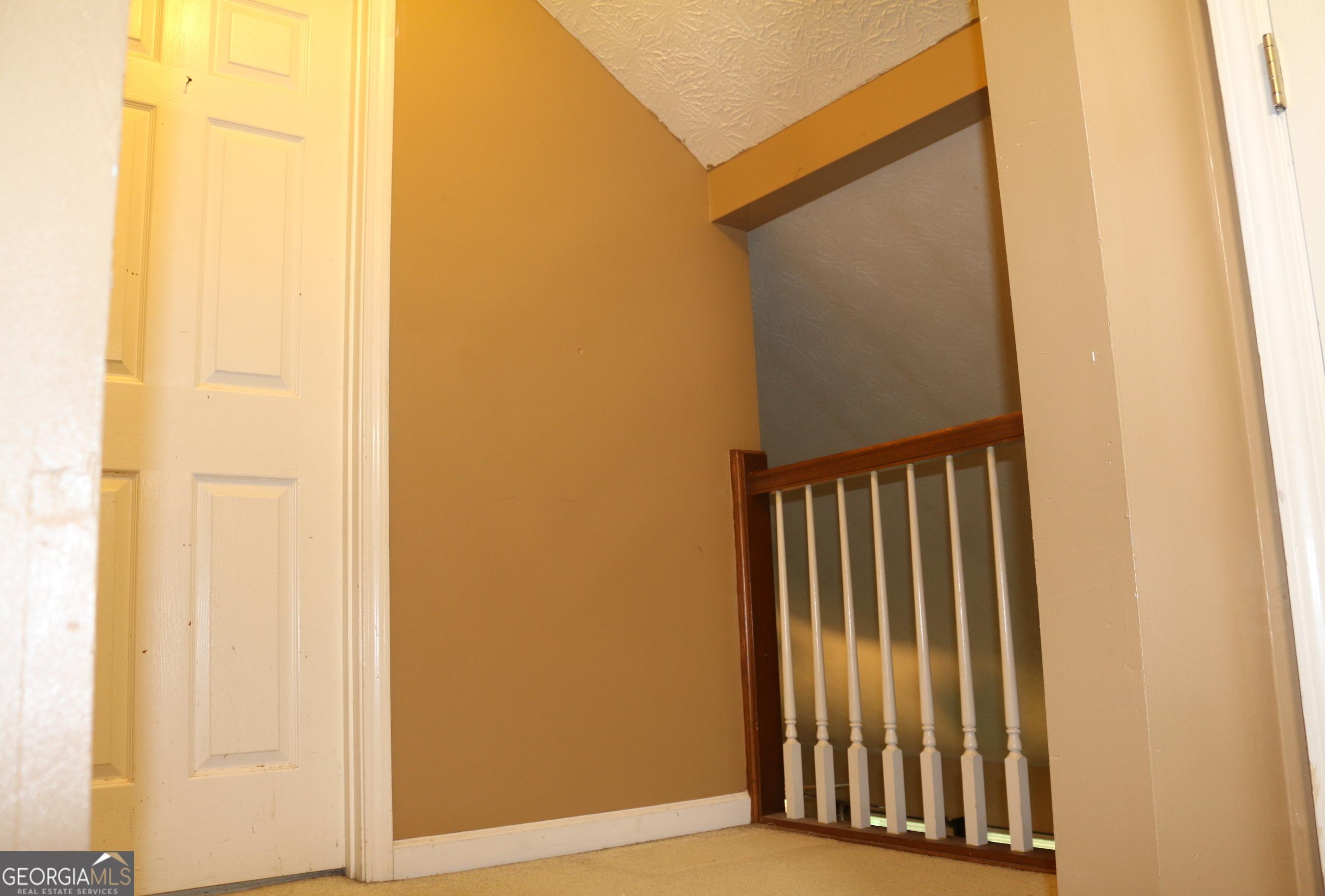 Photo #16
