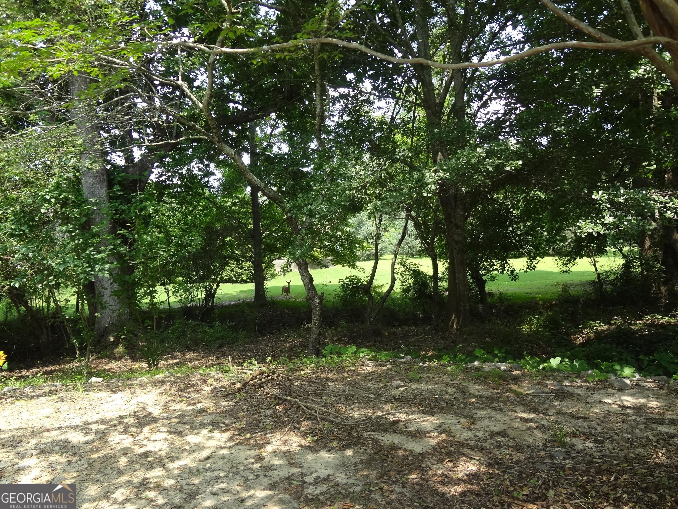 Photo #18
