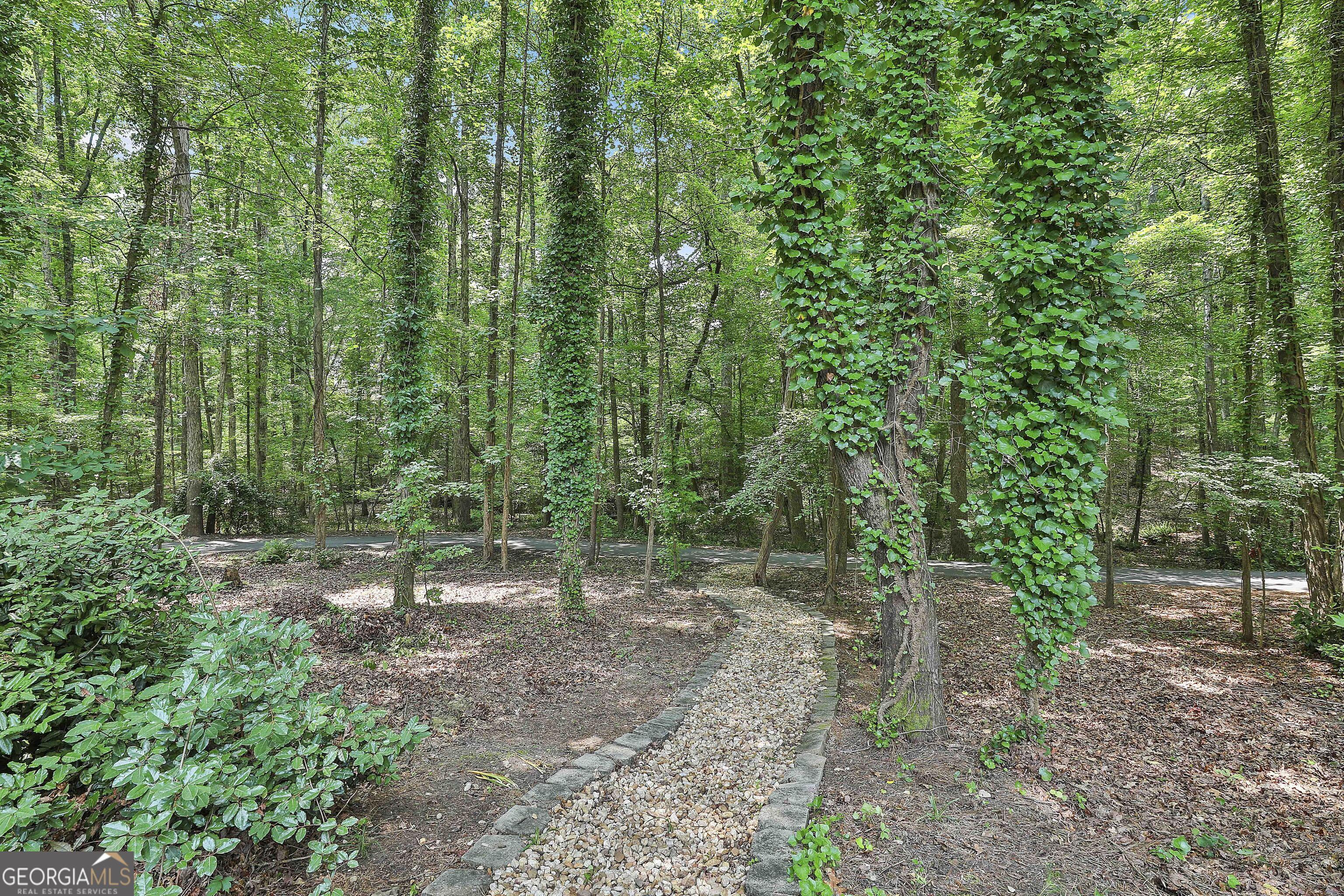 Photo #43