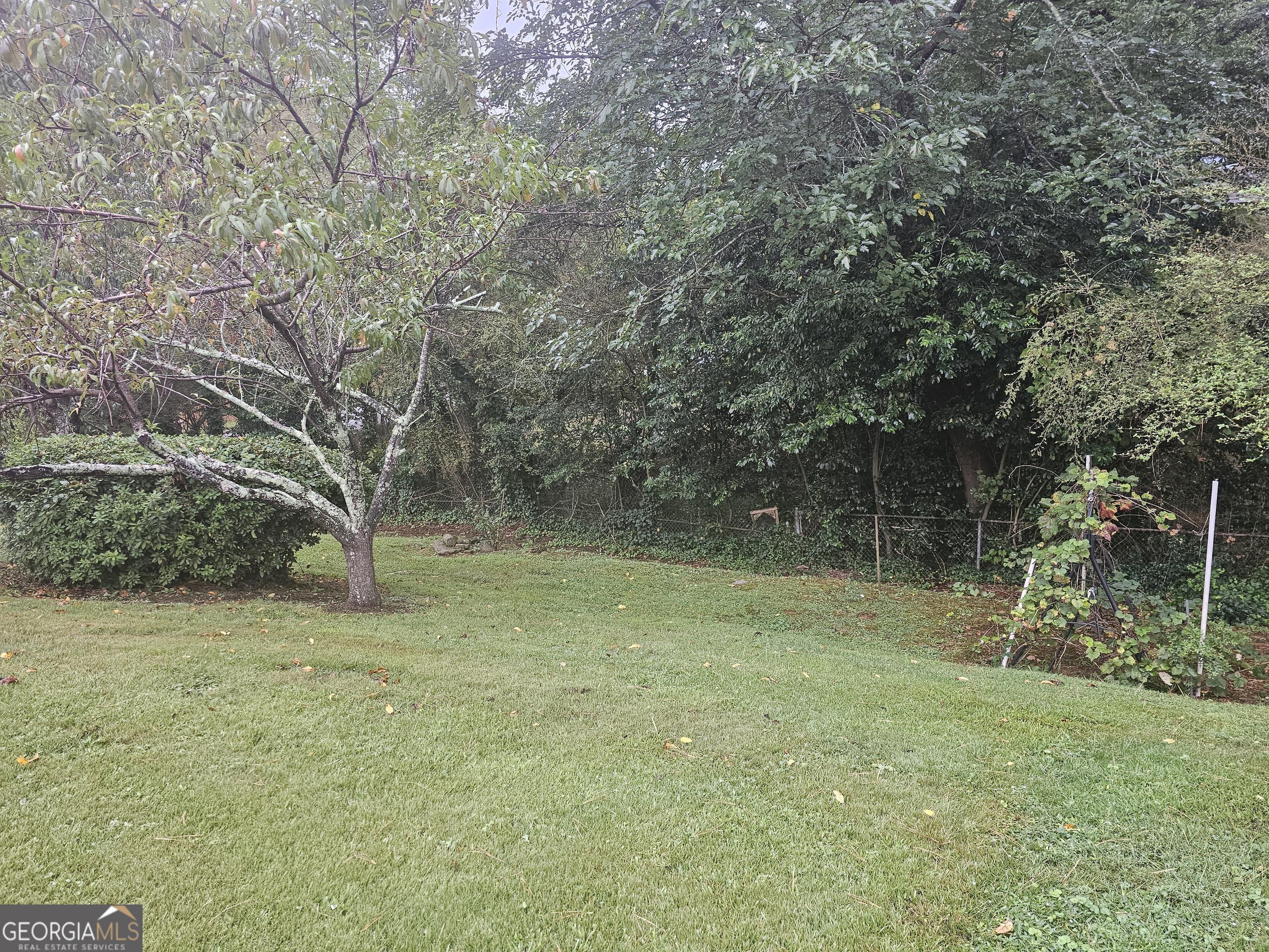 Photo #14