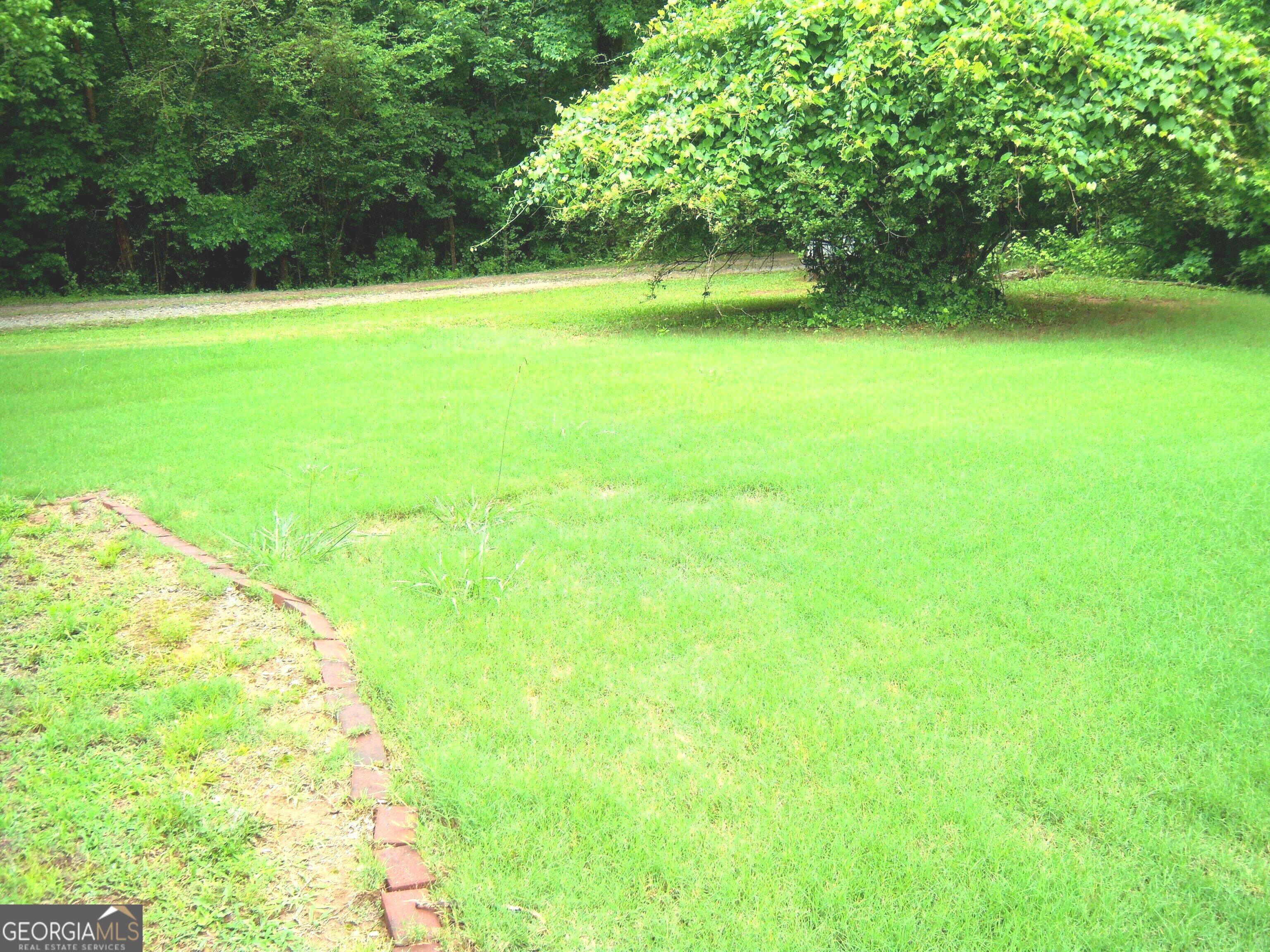 Photo #3