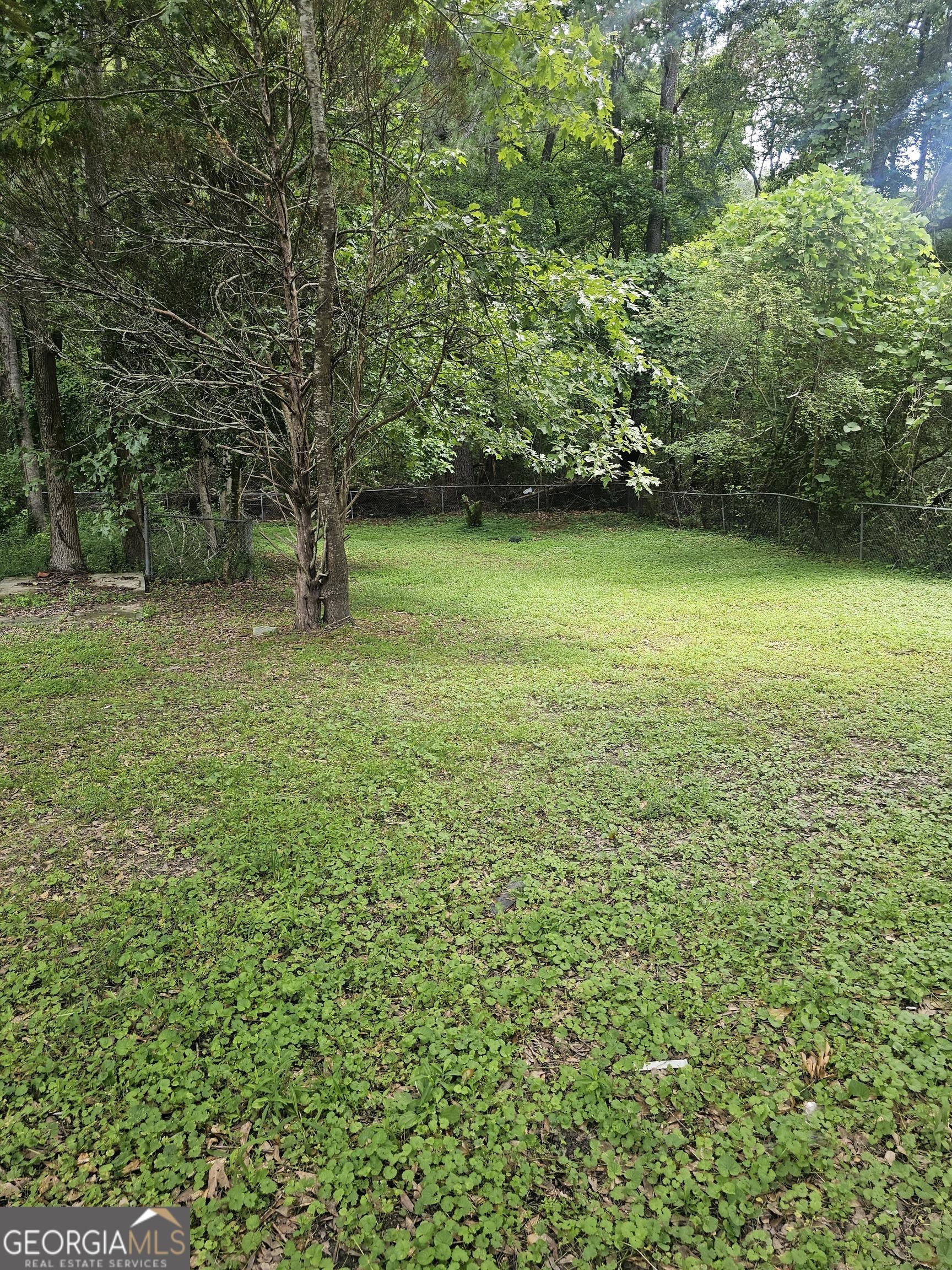 Photo #66