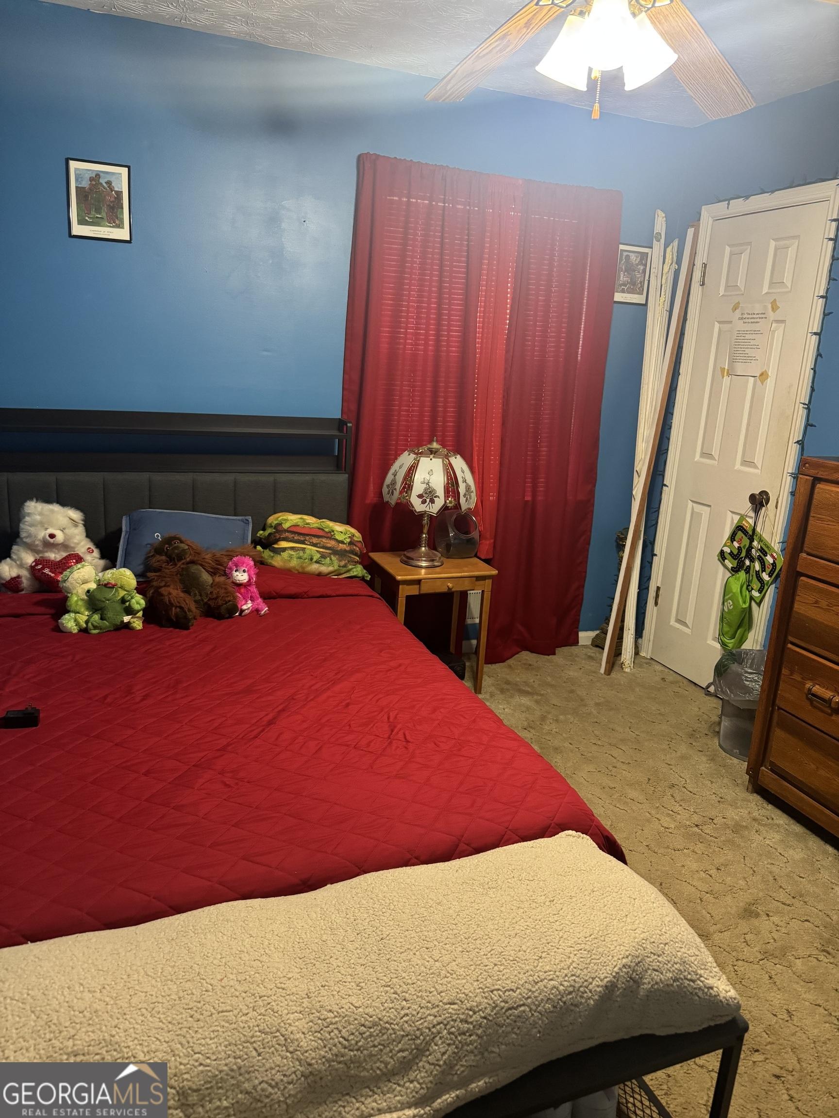 Photo #7