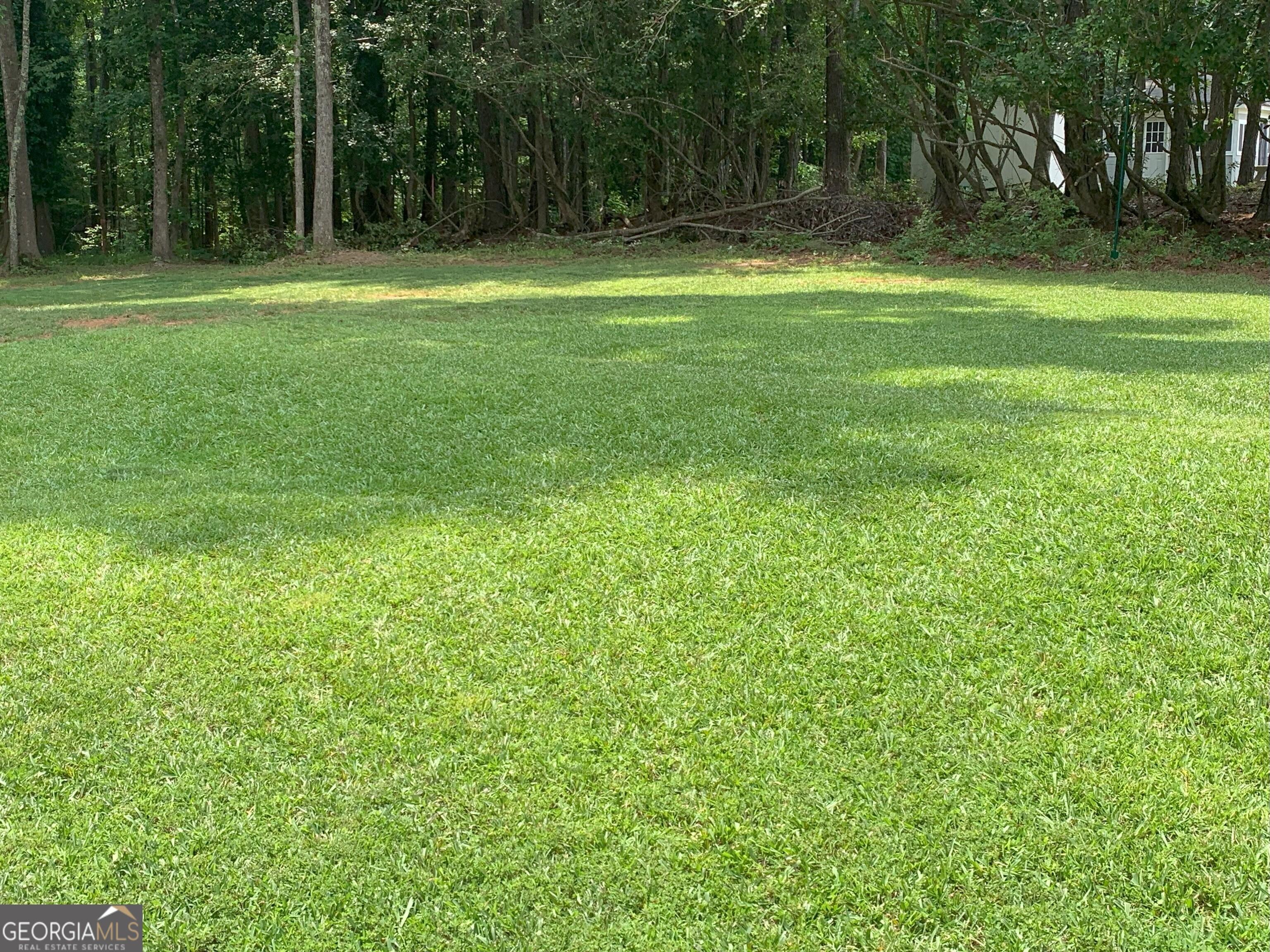 Photo #61
