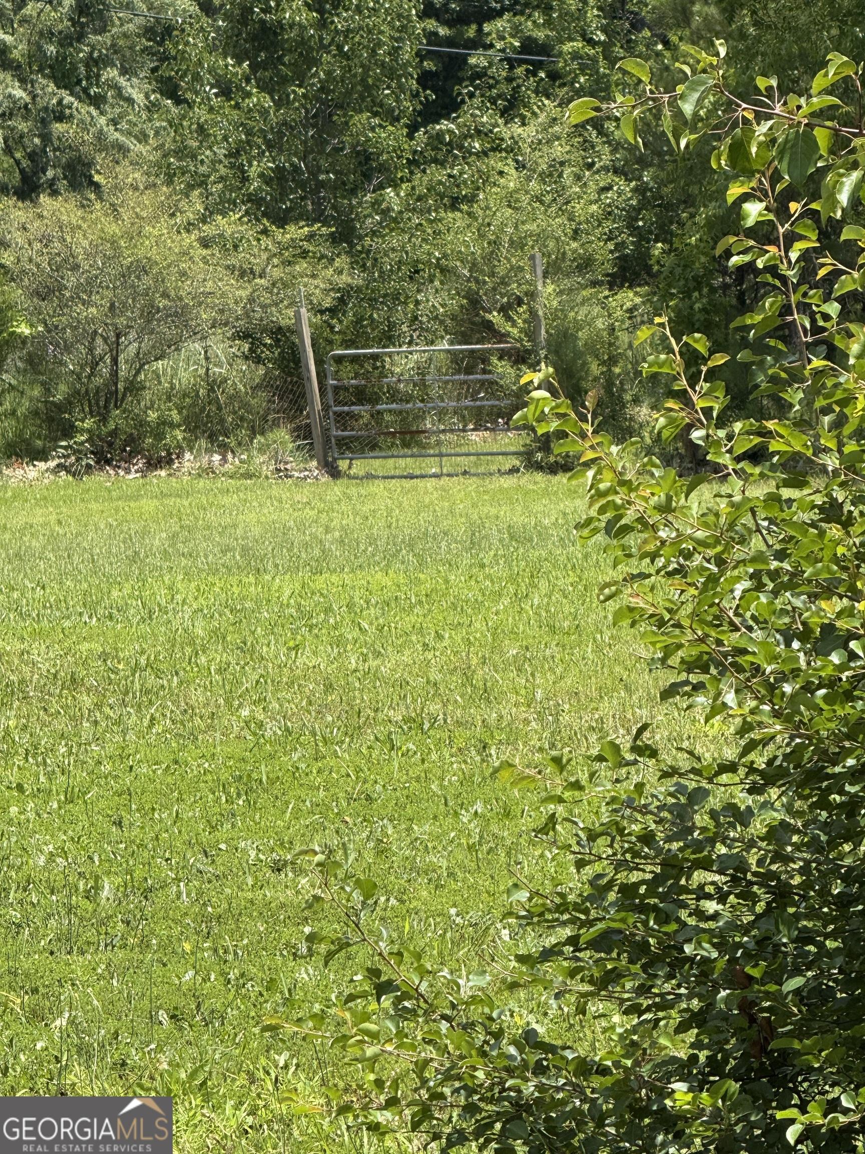 Photo #3