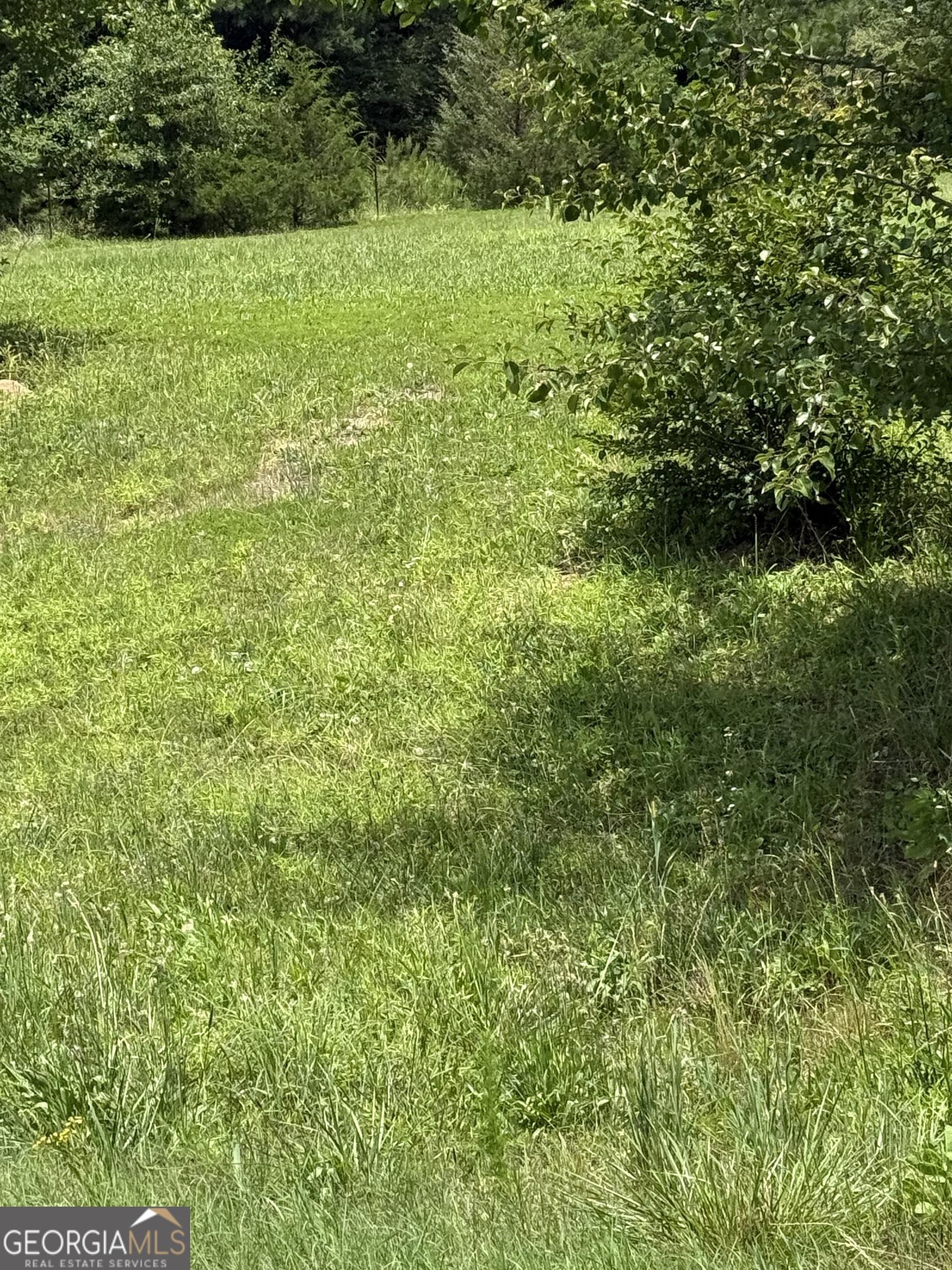 Photo #23