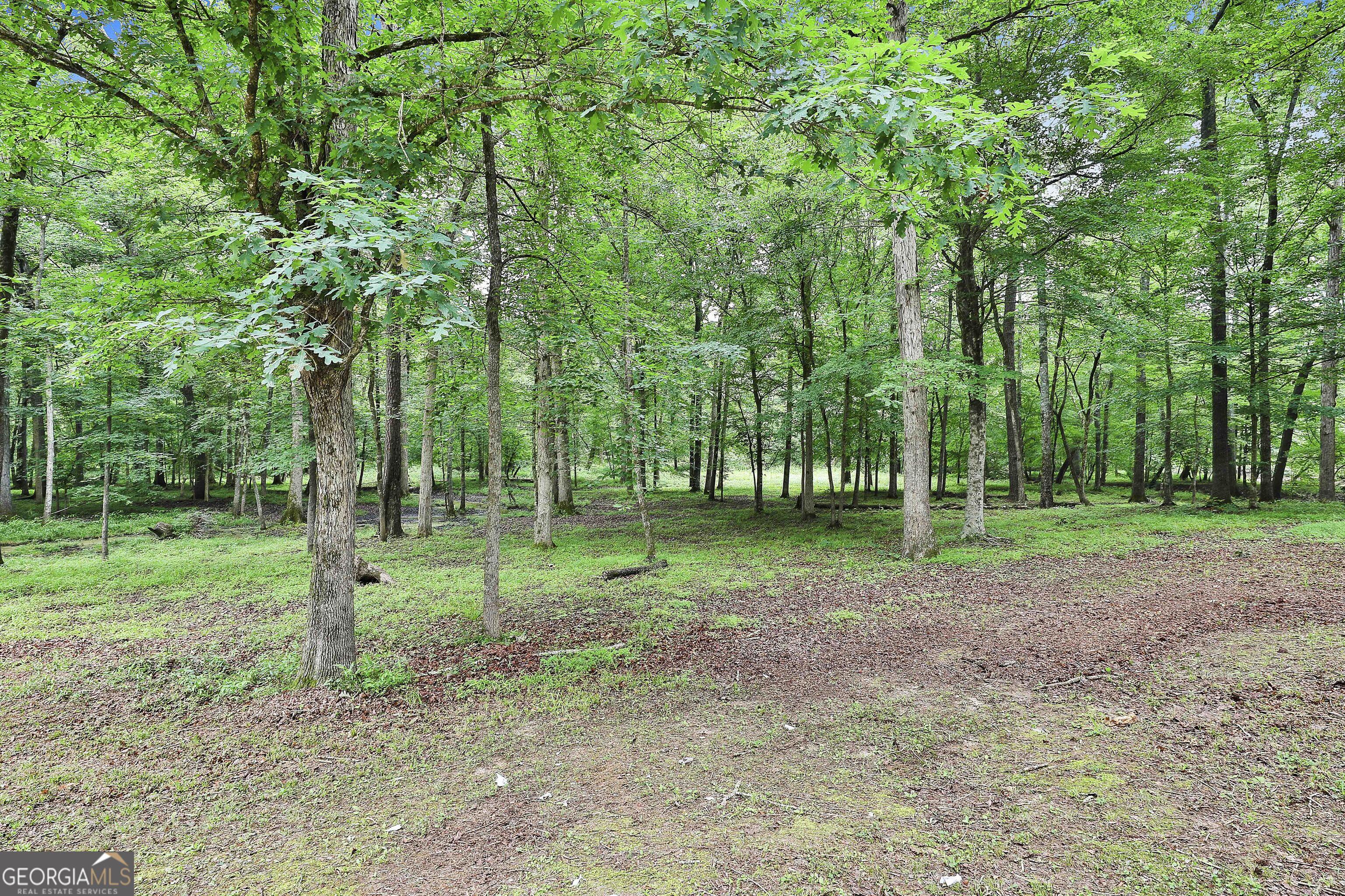 Photo #55