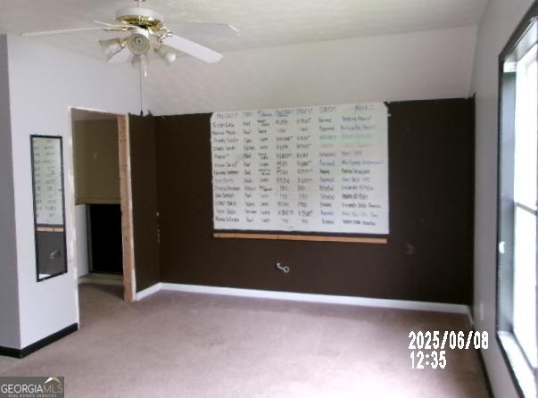 Photo #15