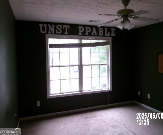 Photo #11