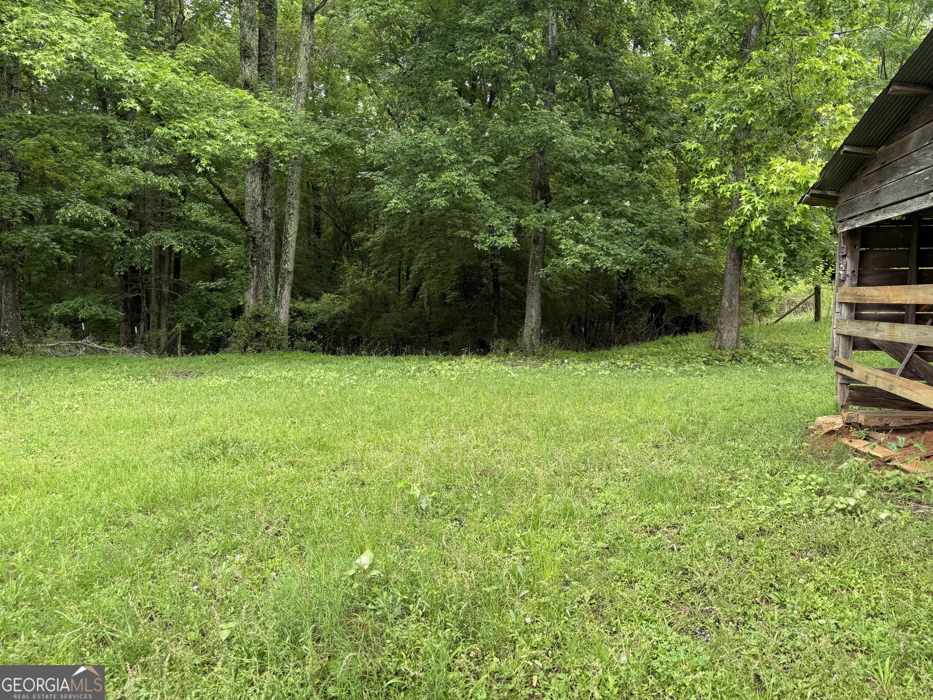 Photo #14