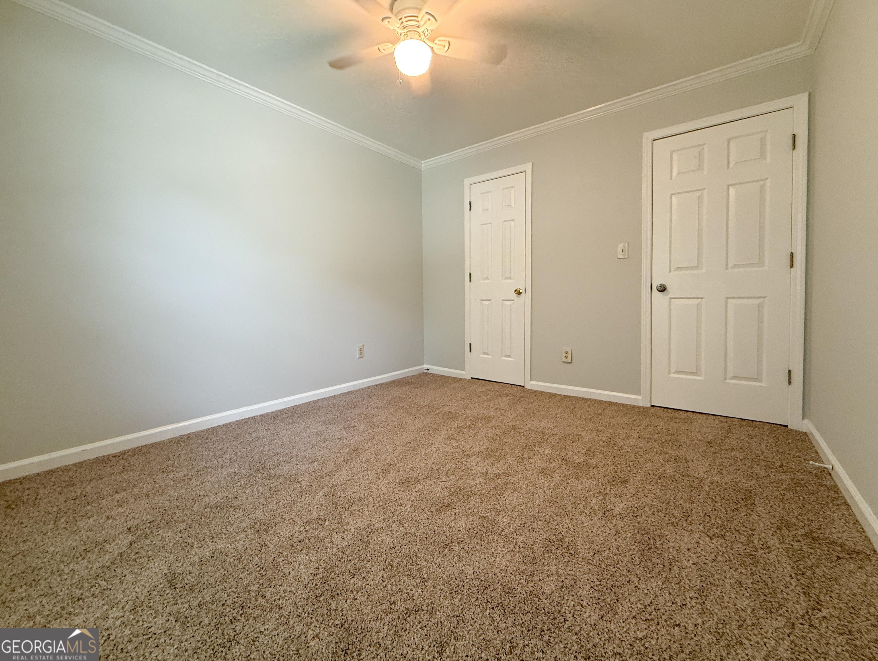 Photo #43