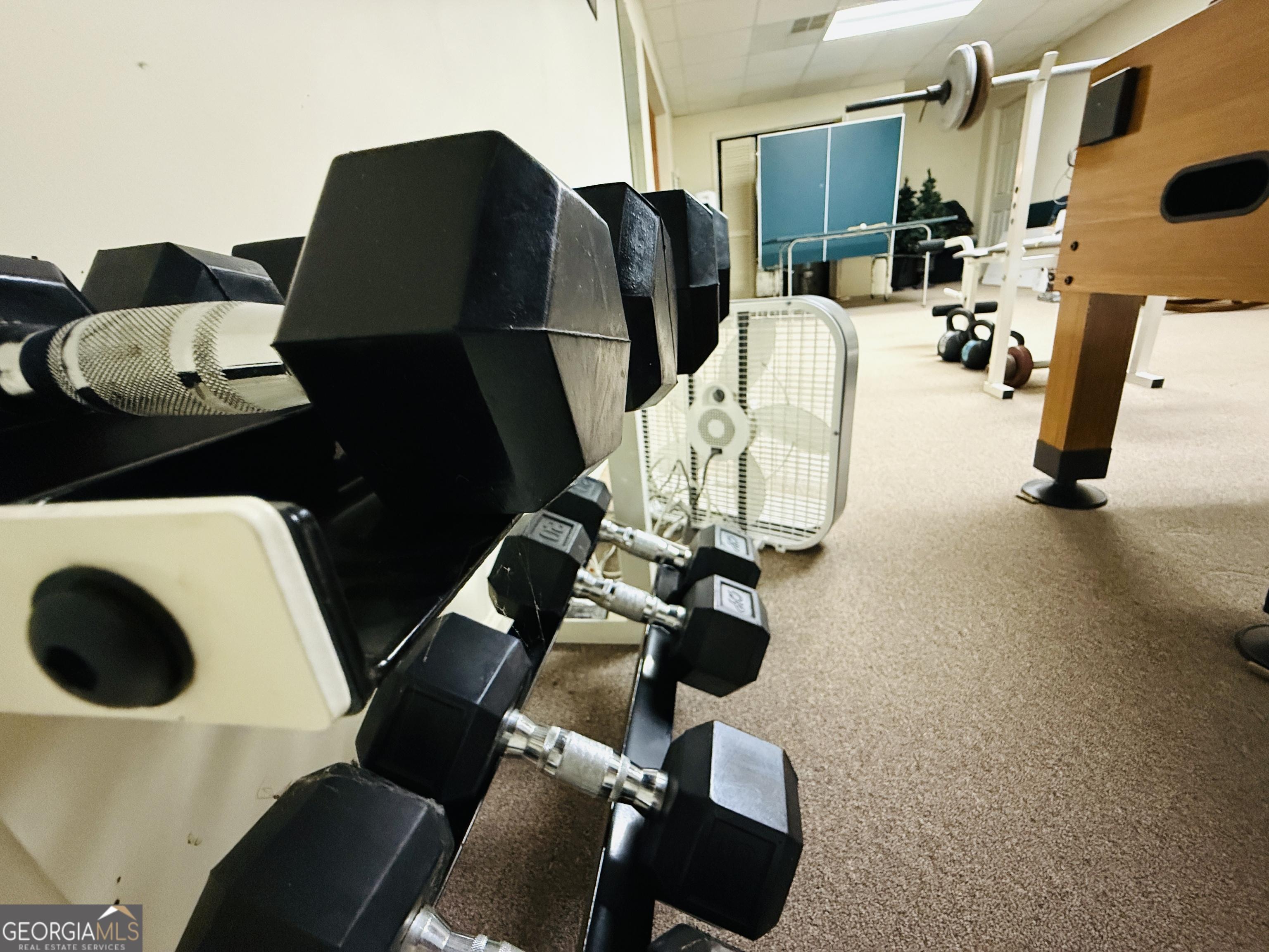 Photo #49