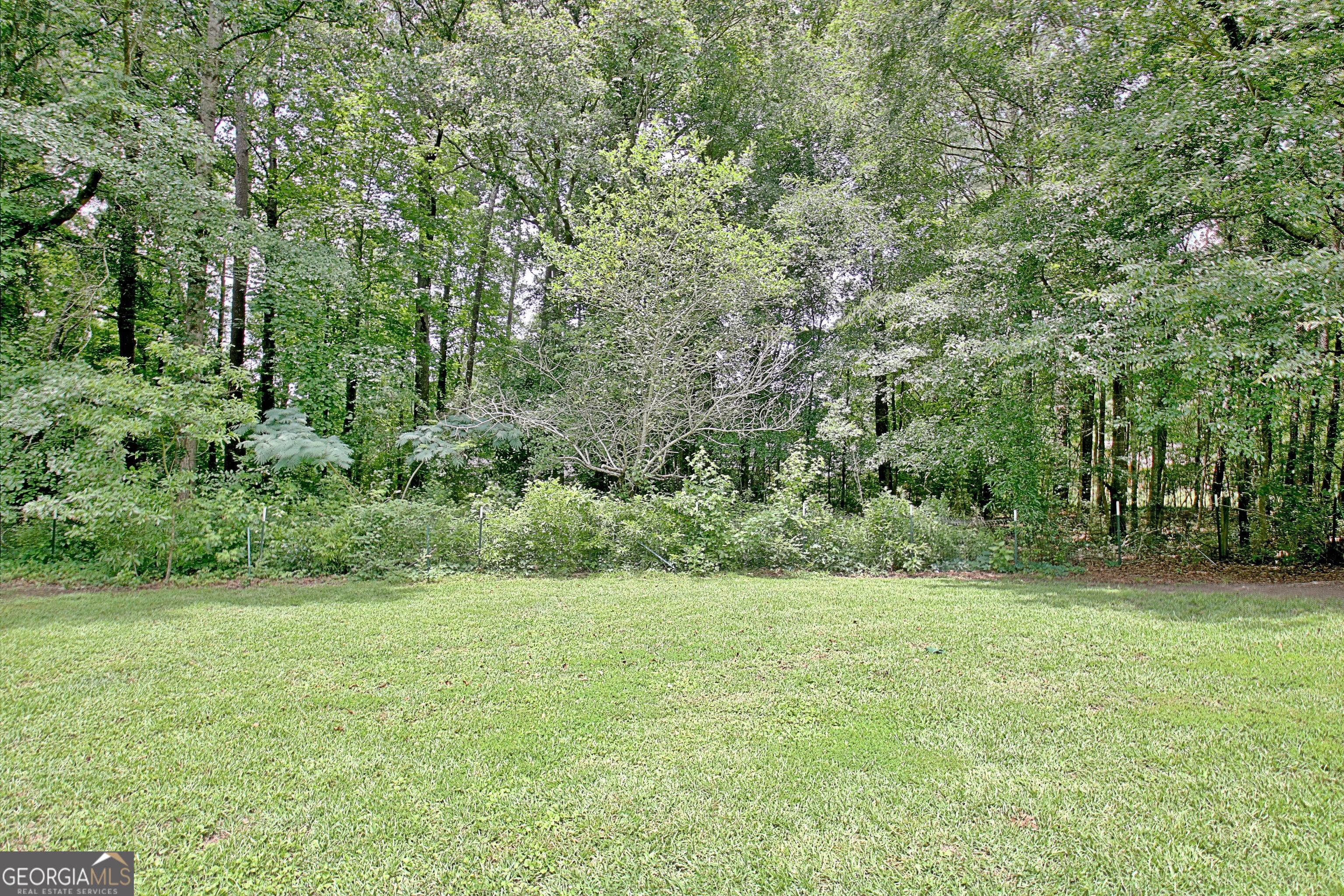 Photo #54