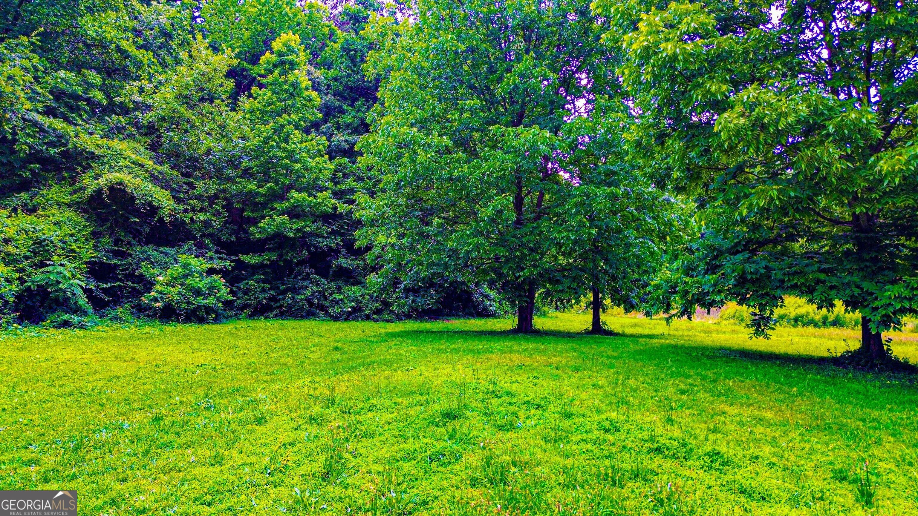 Photo #89
