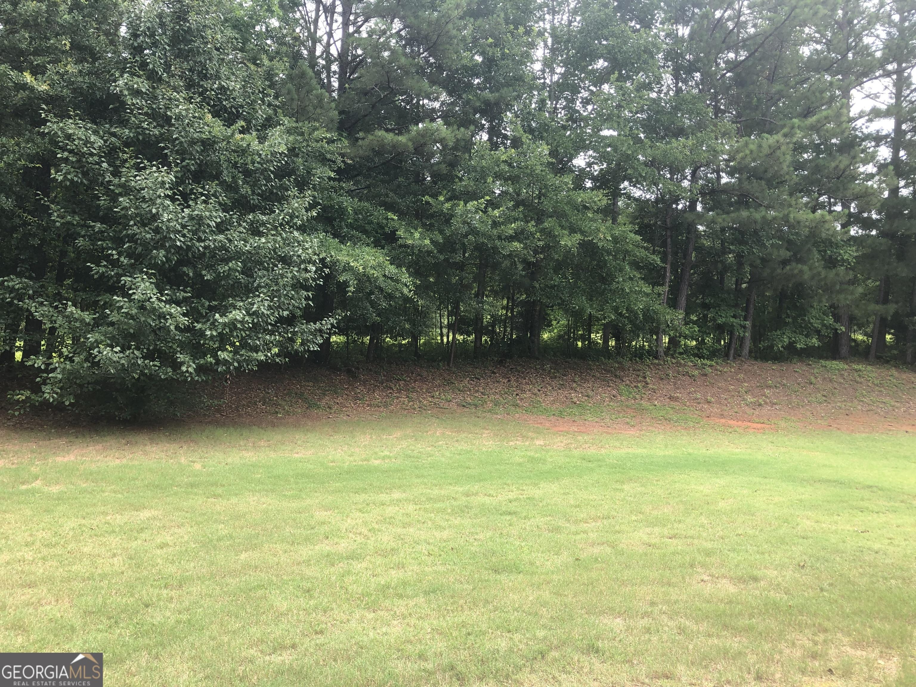 Photo #31